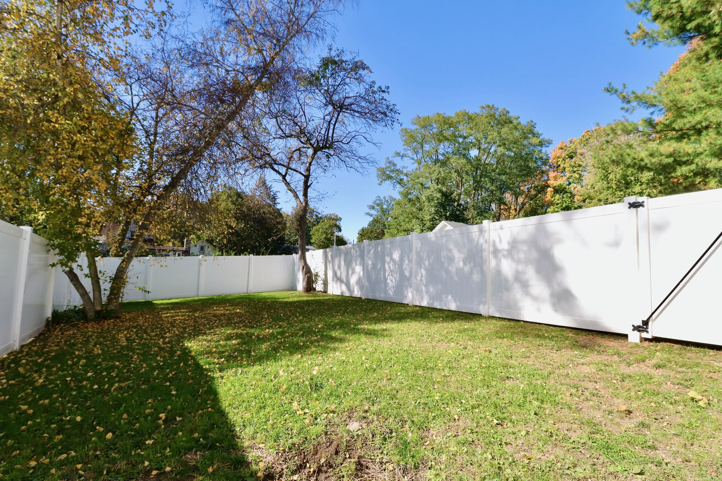 A backyard with green grass, a white privacy fence, and trees with leaves in fall colors; the sky is clear and blue.