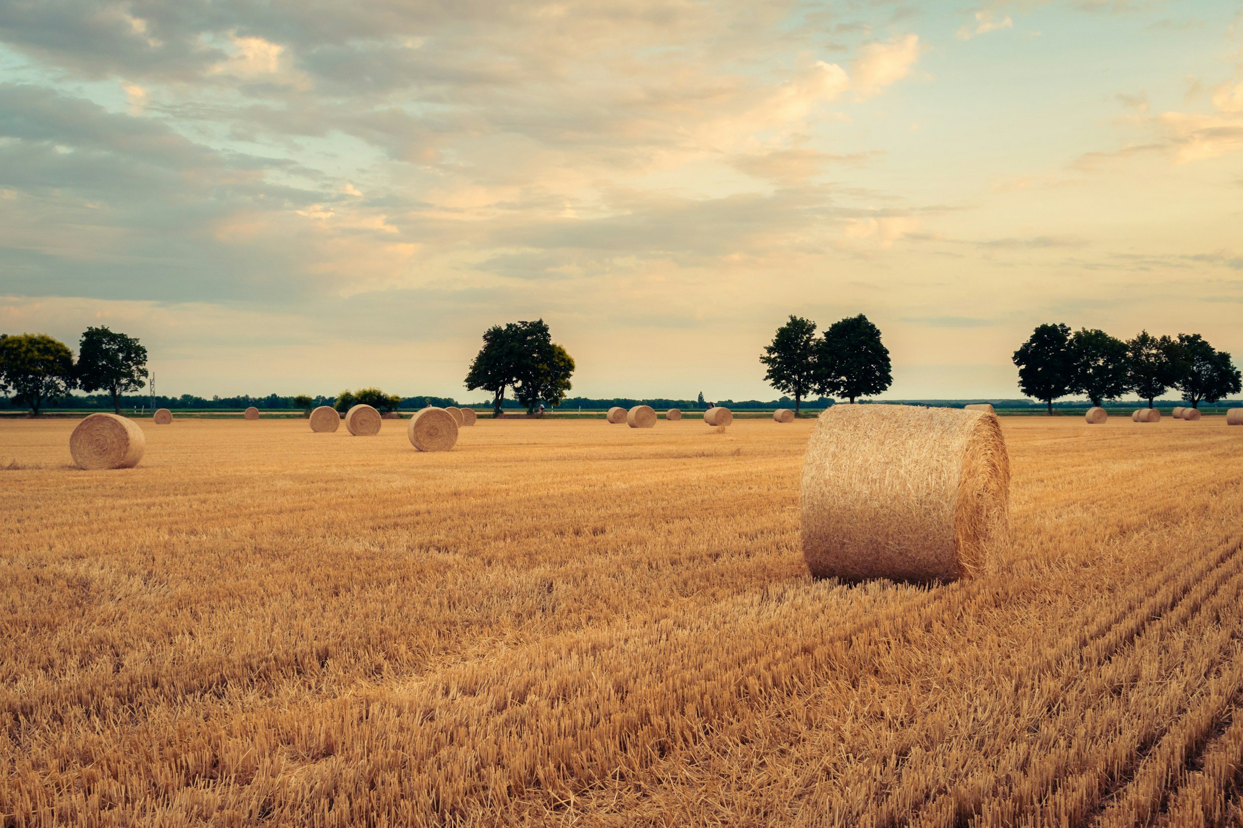 The August Reset: How to Prevent Burnout Before Fall Begins
