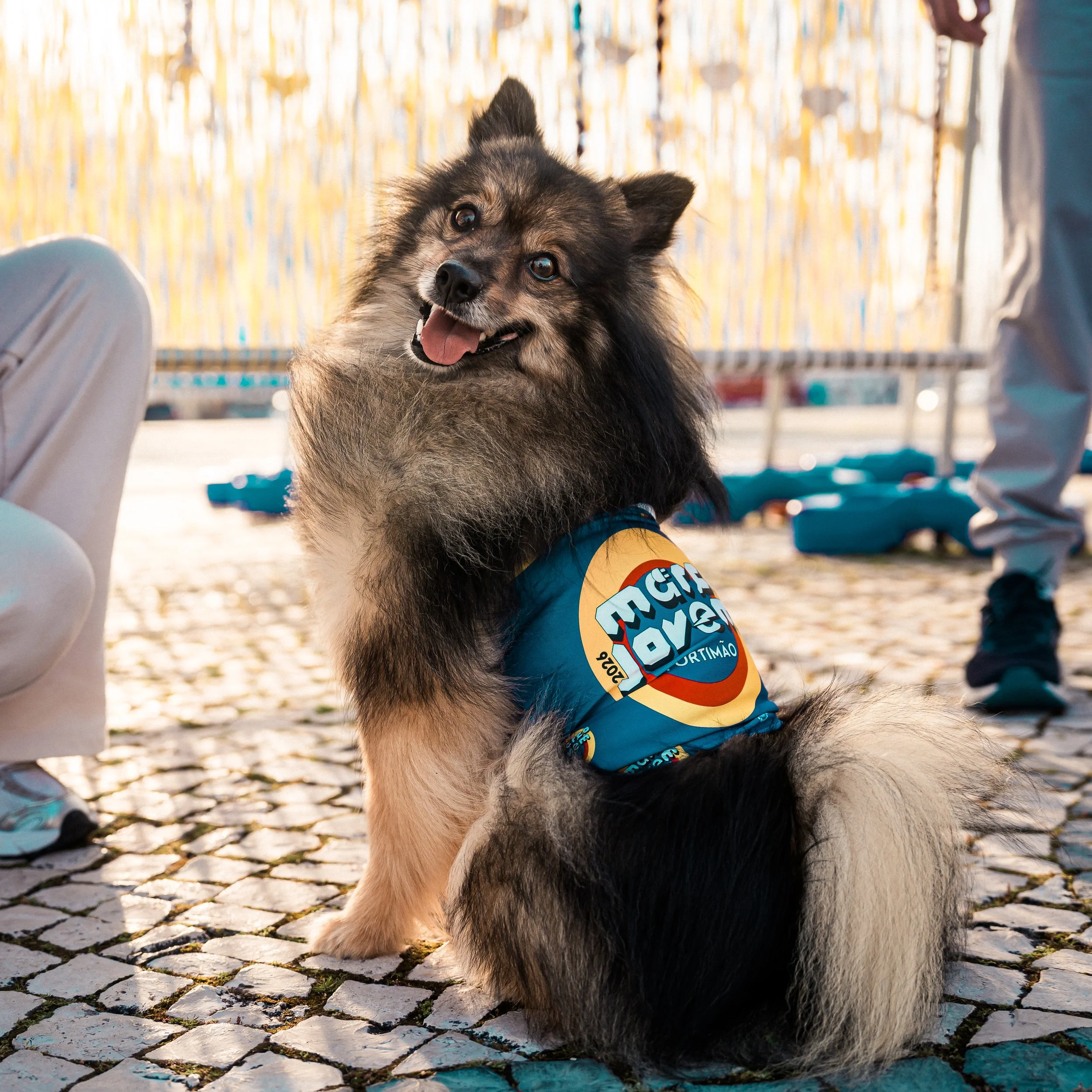 Labirinthe Gigante WorkShop 3: 20.jpg