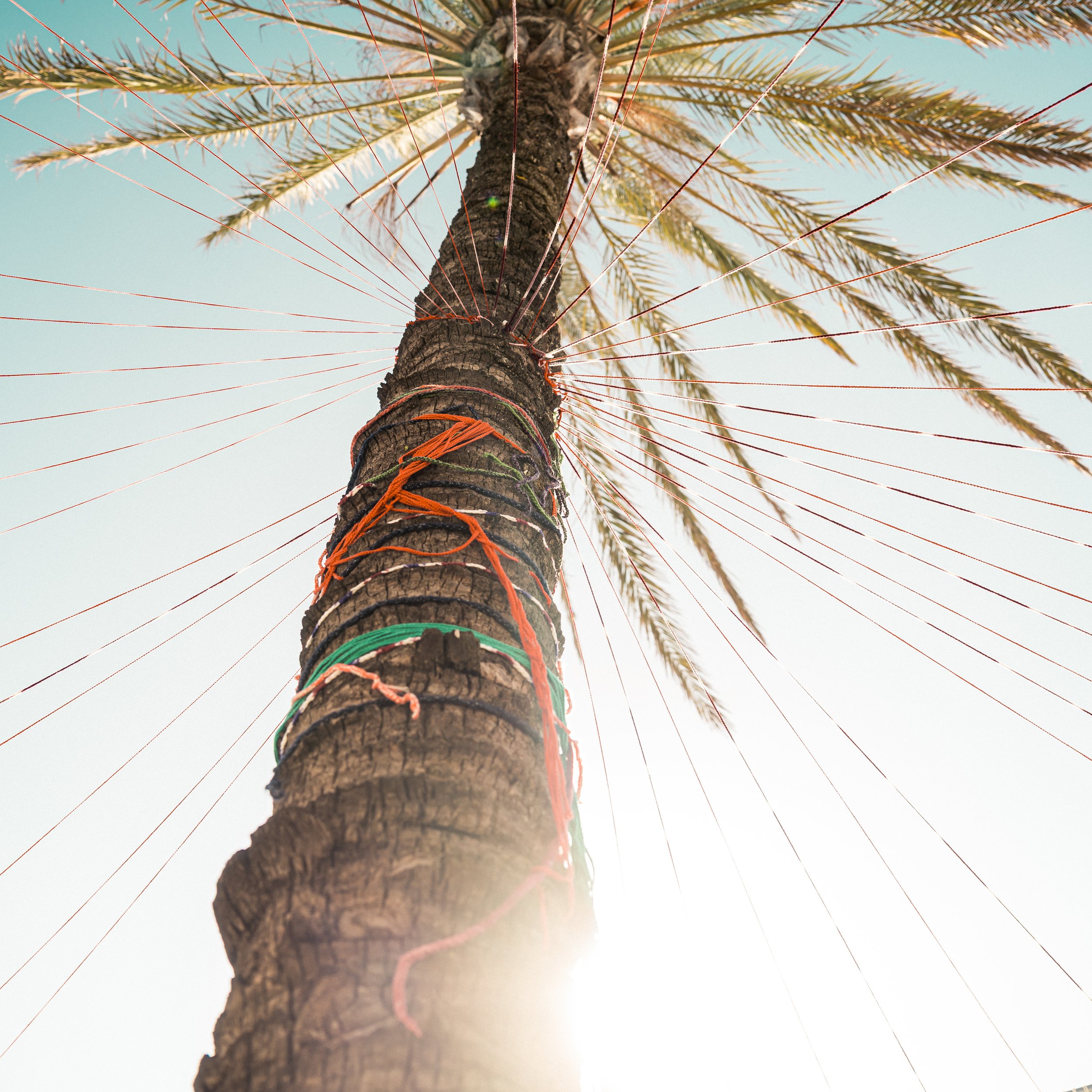 Labirinthe Gigante WorkShop 3: 3.jpg