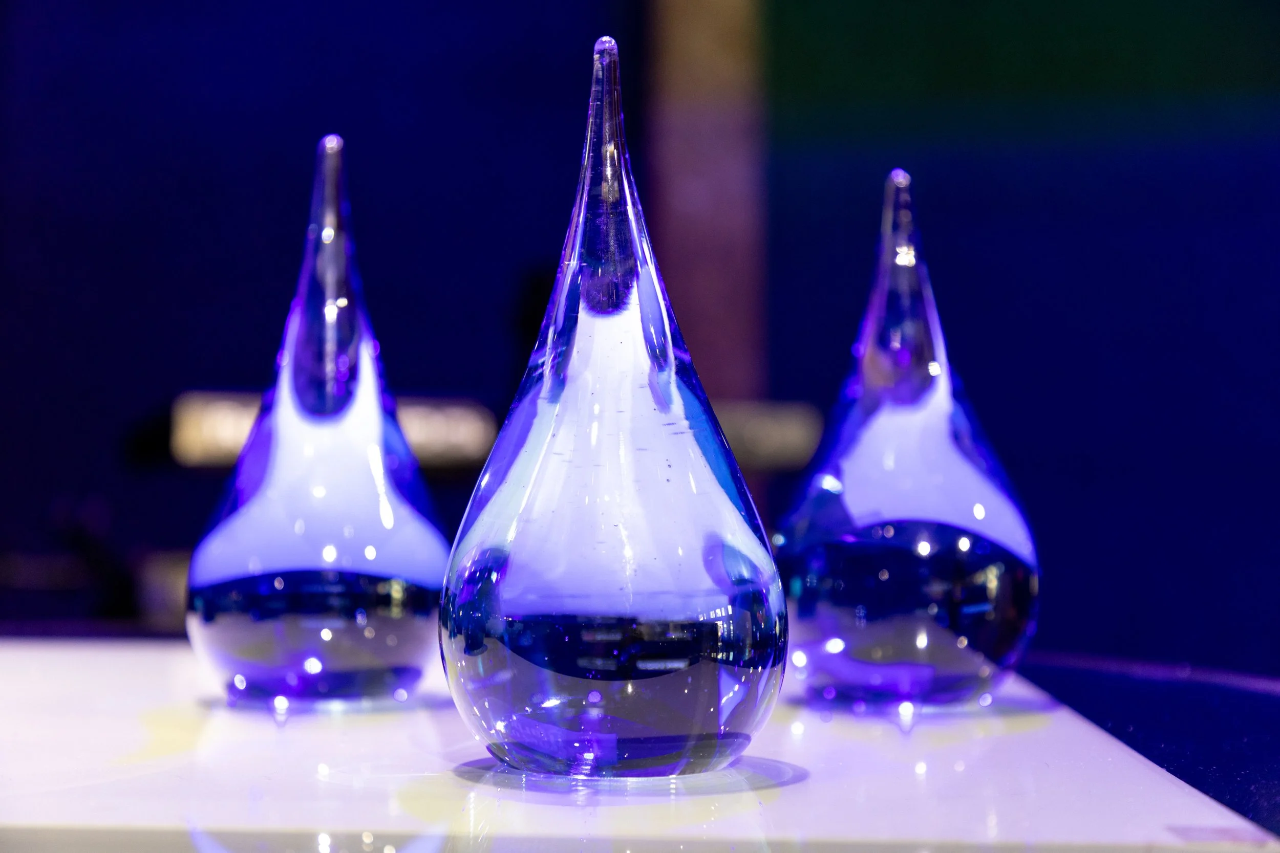 Custom Glass Commission for Waterfront Alliance