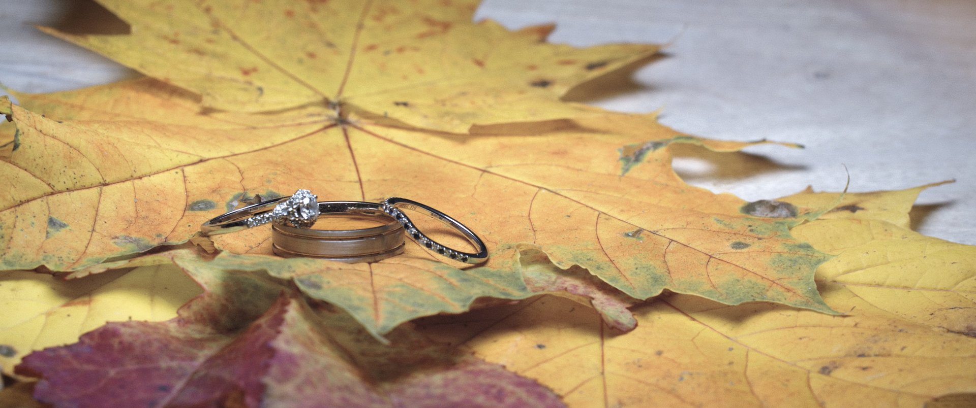 Engagement and wedding rings on autumn leaves - Oxnead Hall, Norfolk