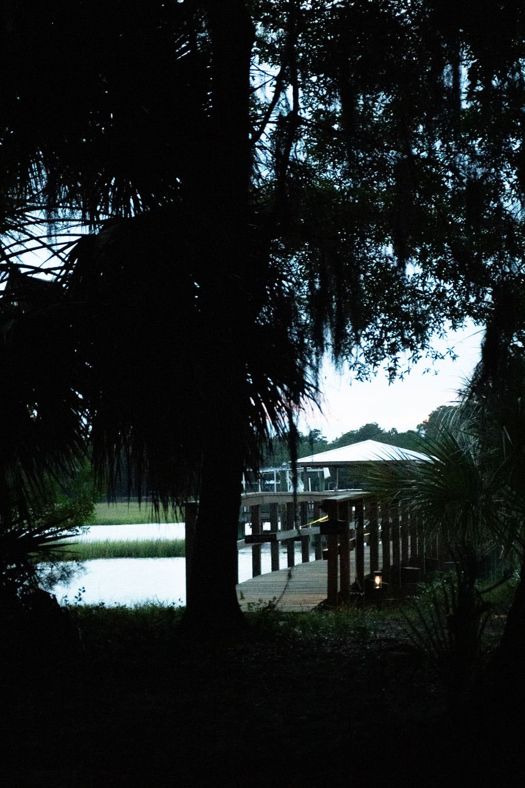 DSC_5583.jpeg