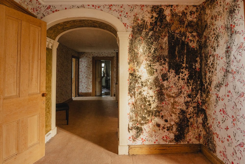 Before with extensive mould