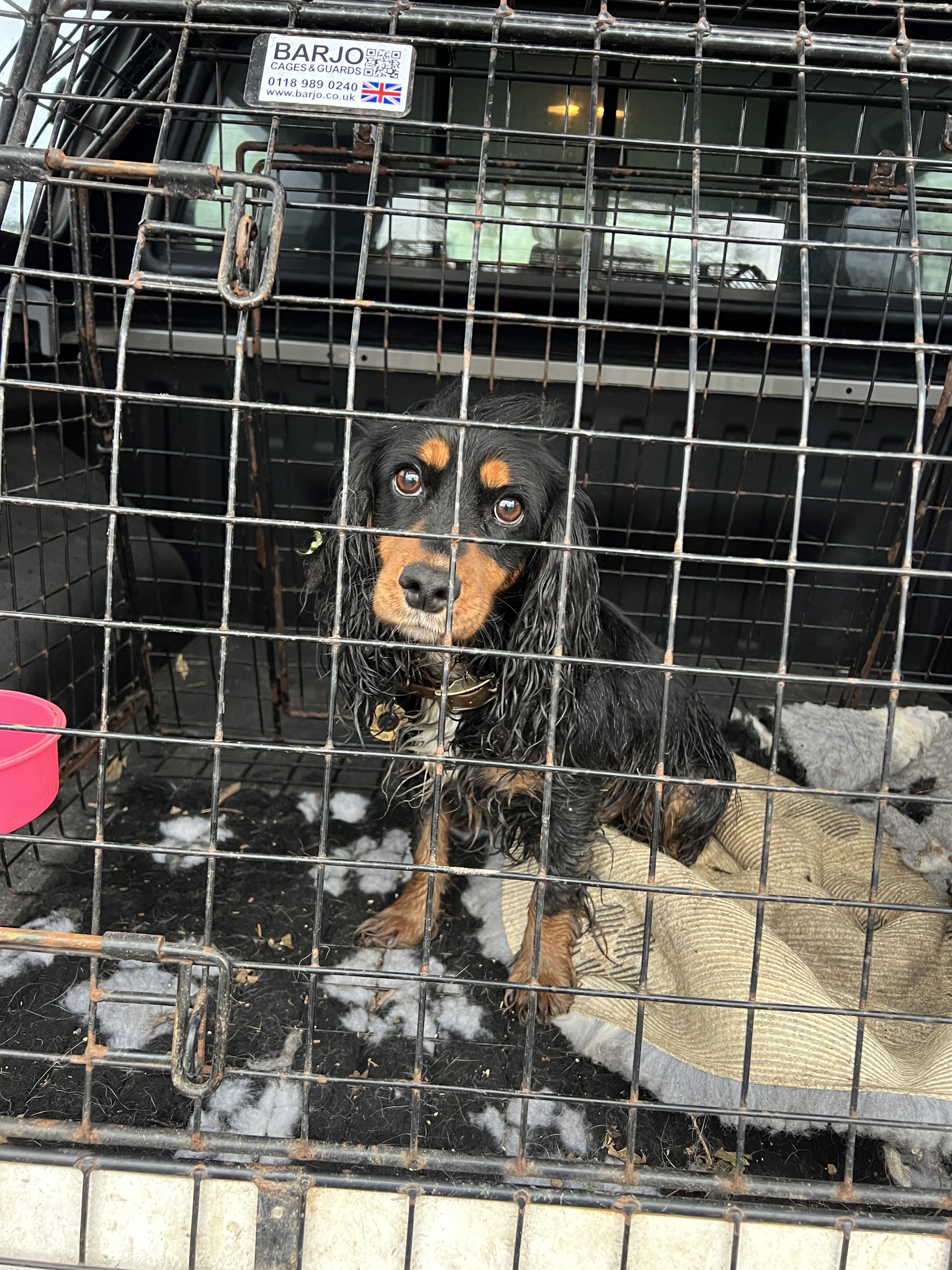 Bryt, after a day at work wanting snacks