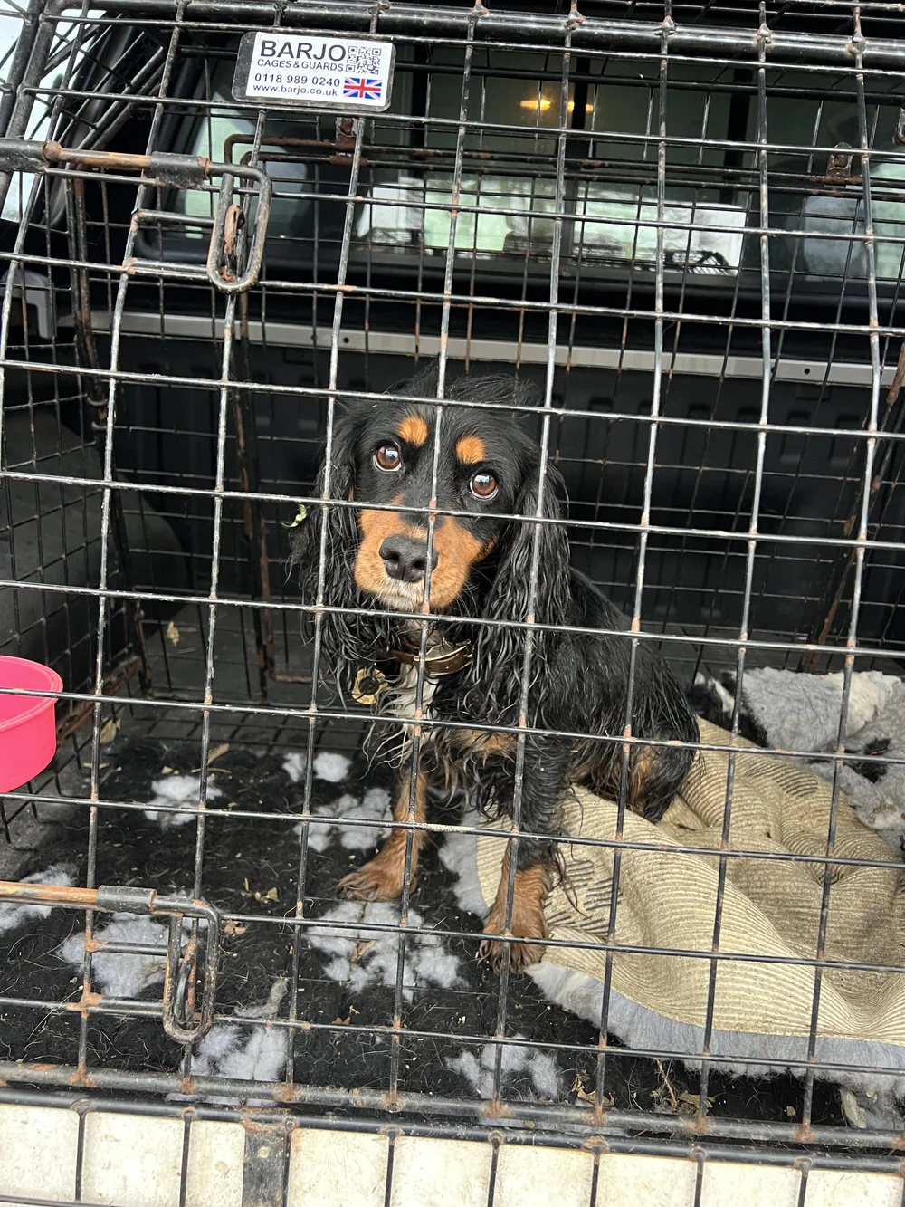 Bryt, after a day at work wanting snacks