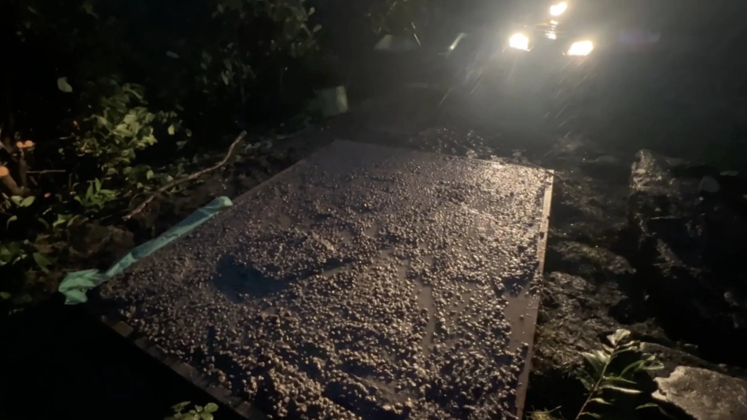 Screenshot 2025-12-18 at 14.15.49.jpeg