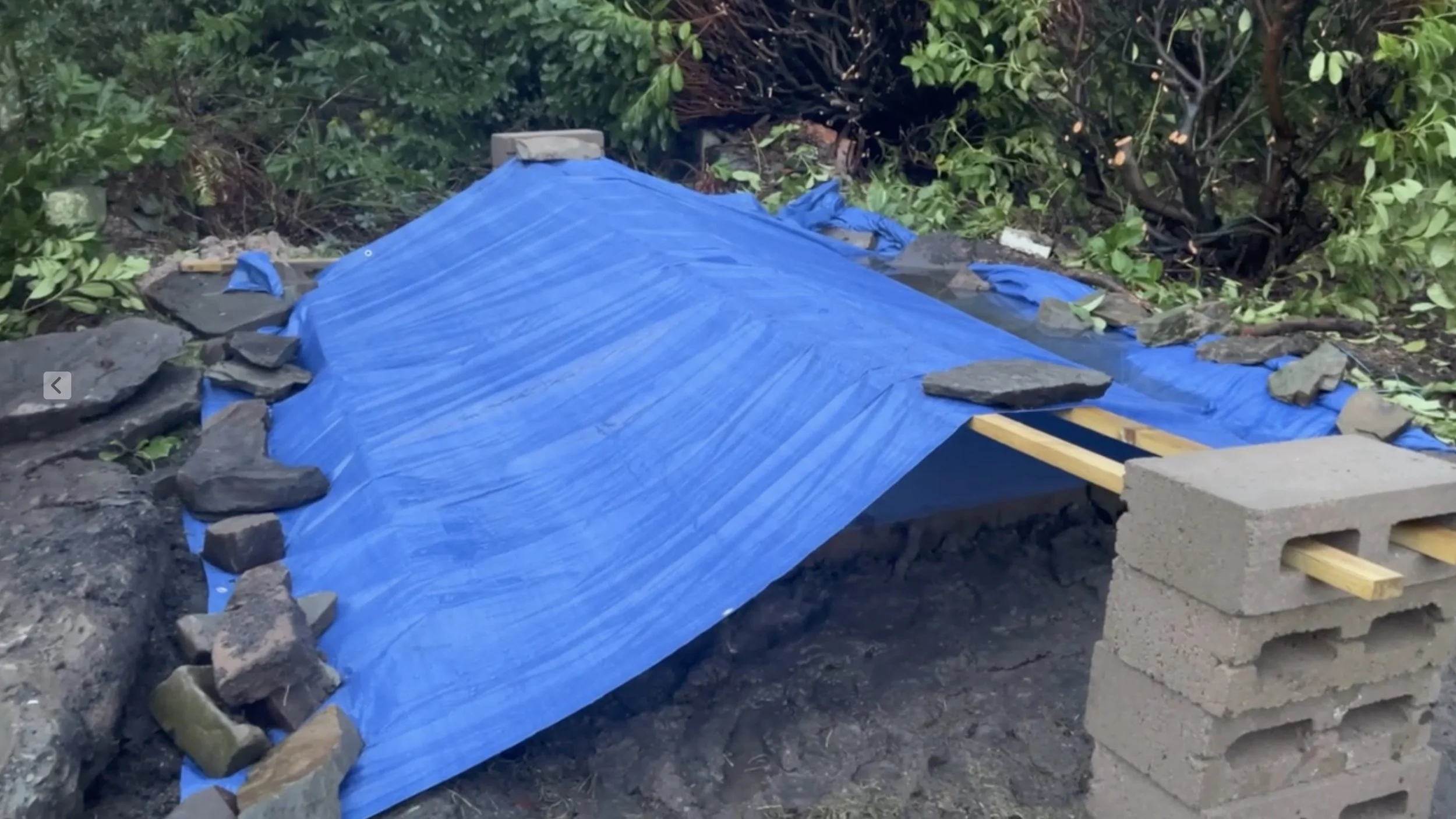 Screenshot 2025-12-18 at 14.16.50.jpeg