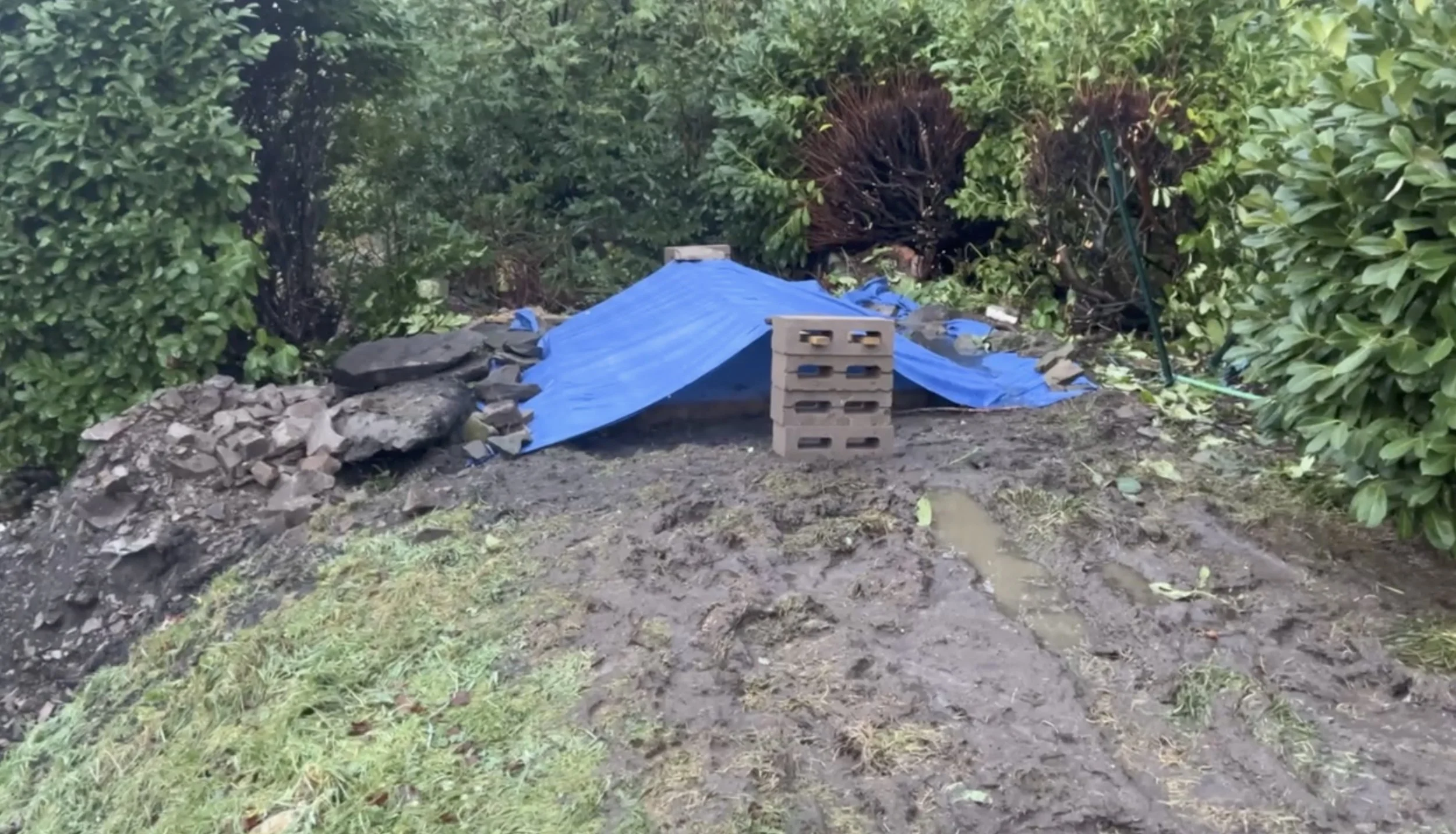 Screenshot 2025-12-18 at 14.17.06.jpeg