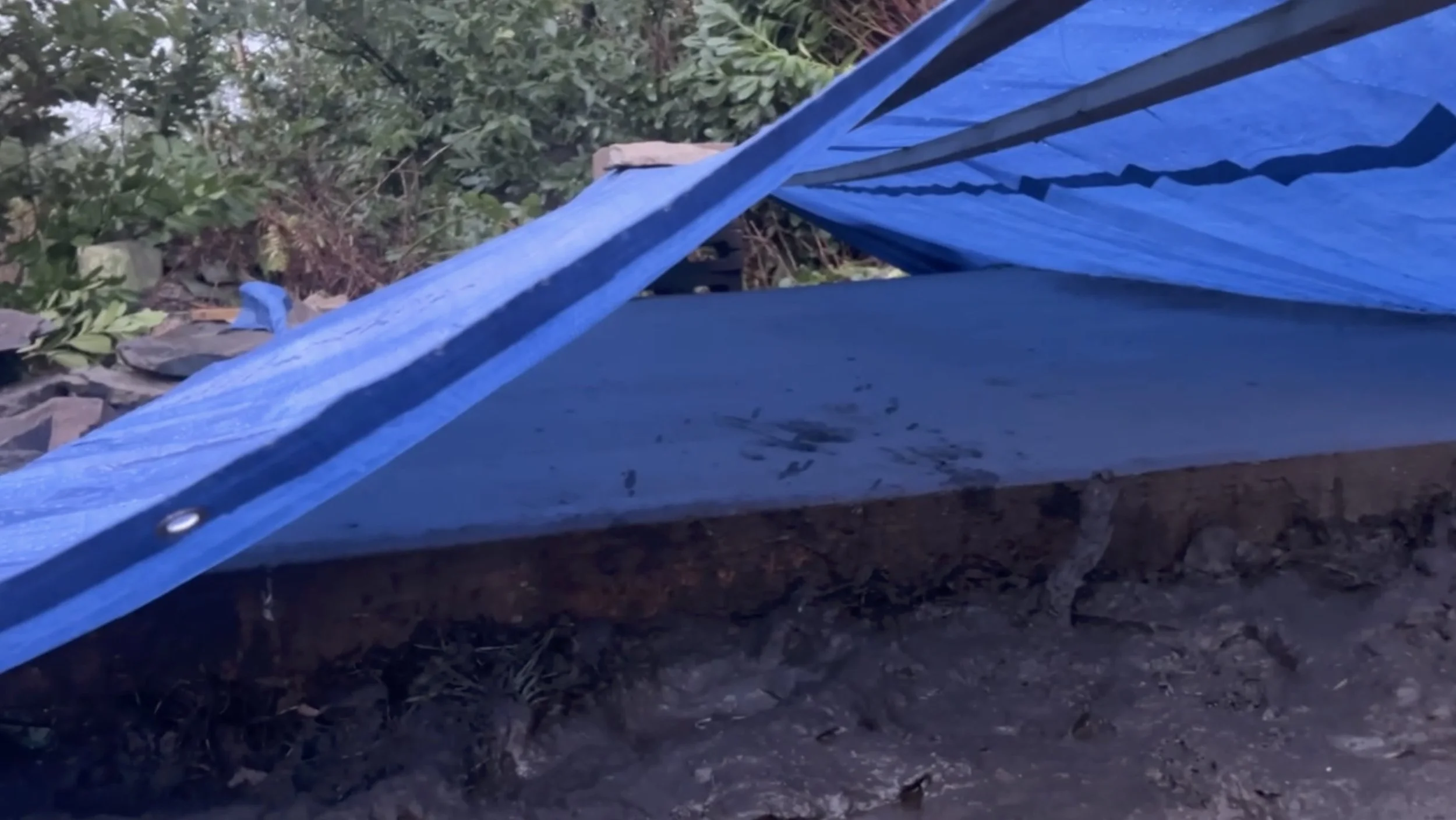 Screenshot 2025-12-18 at 14.17.29.jpeg