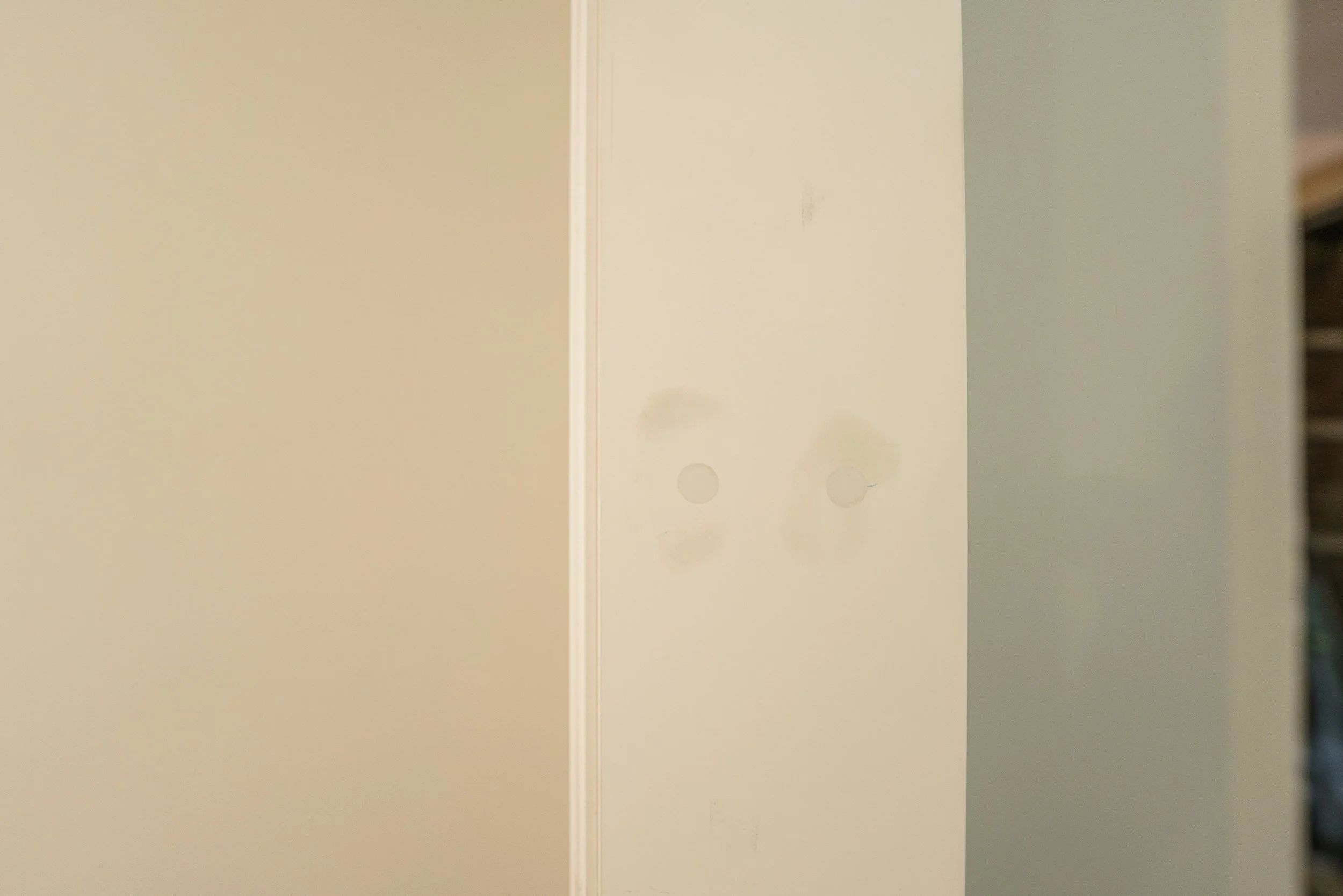 20260523-_DSC0693.jpg