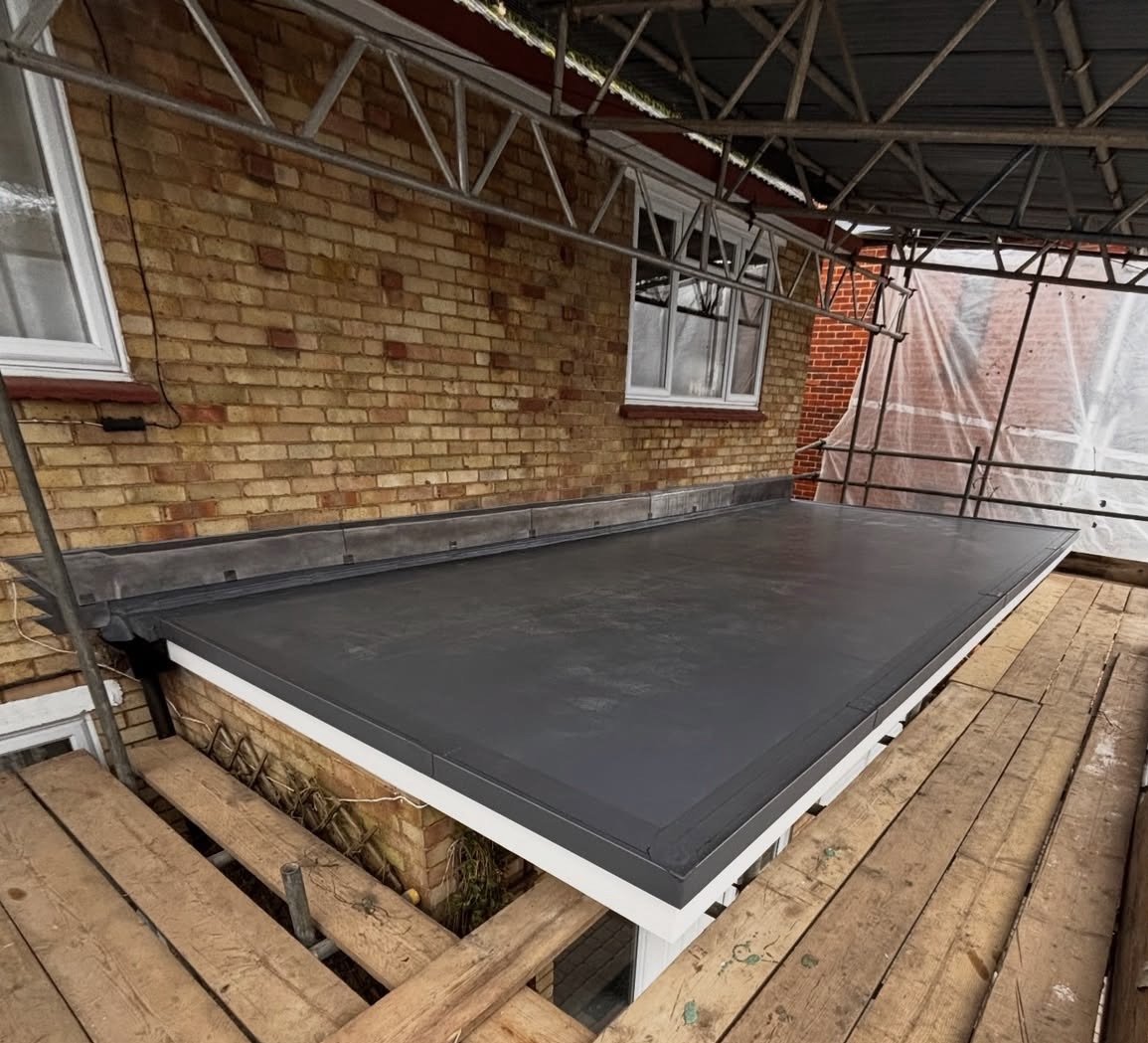 IMG_0348.jpeg