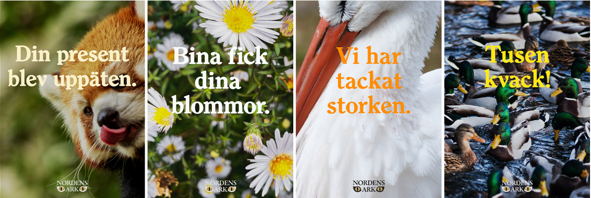 Nordens översikt 1.png