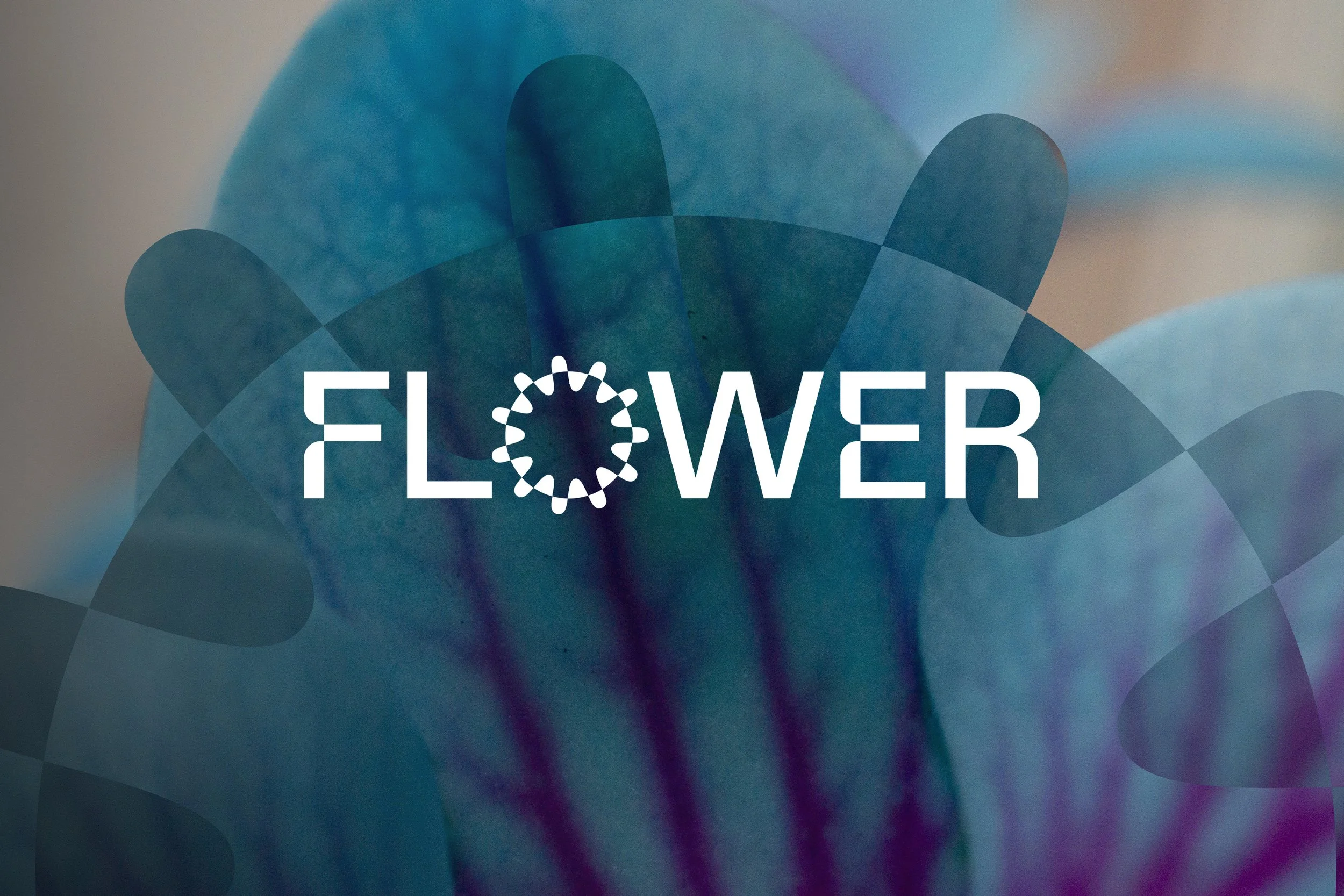 FLOWER3.jpg