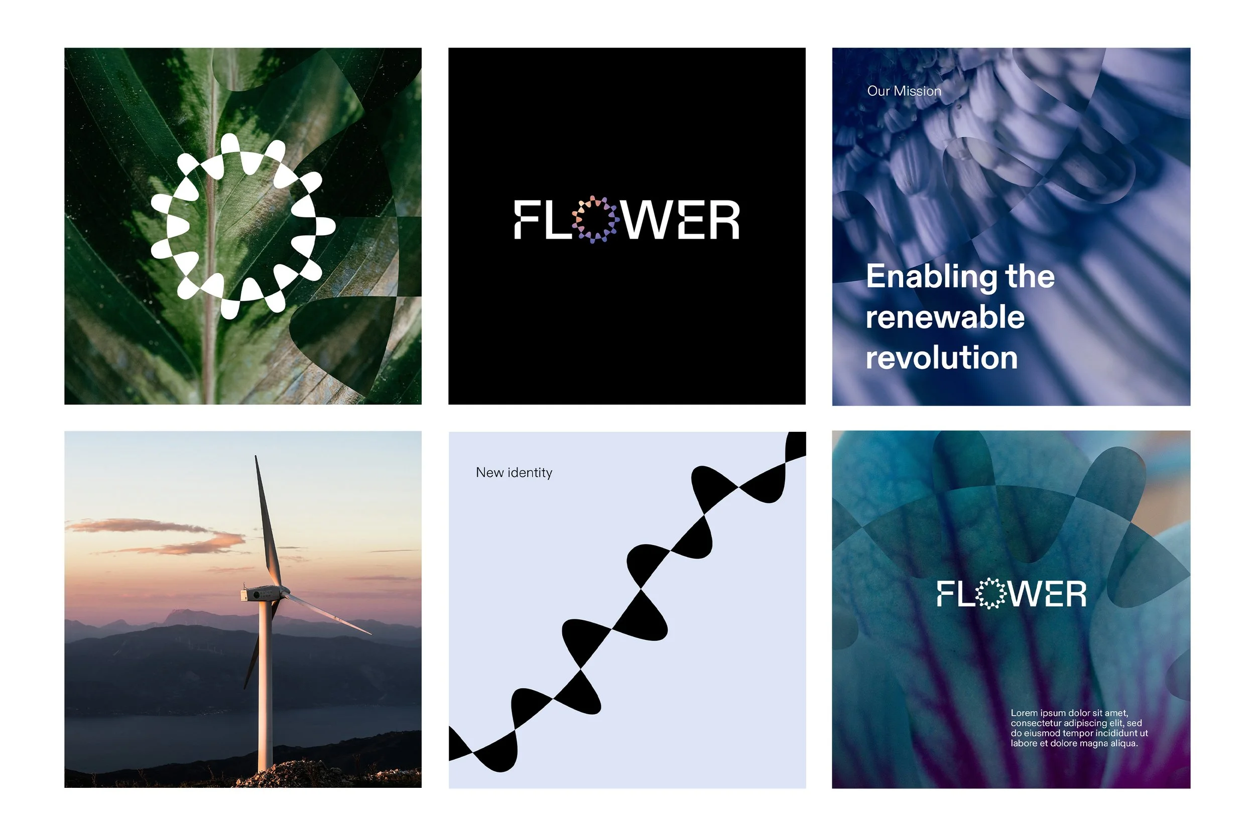 FLOWER2.jpg