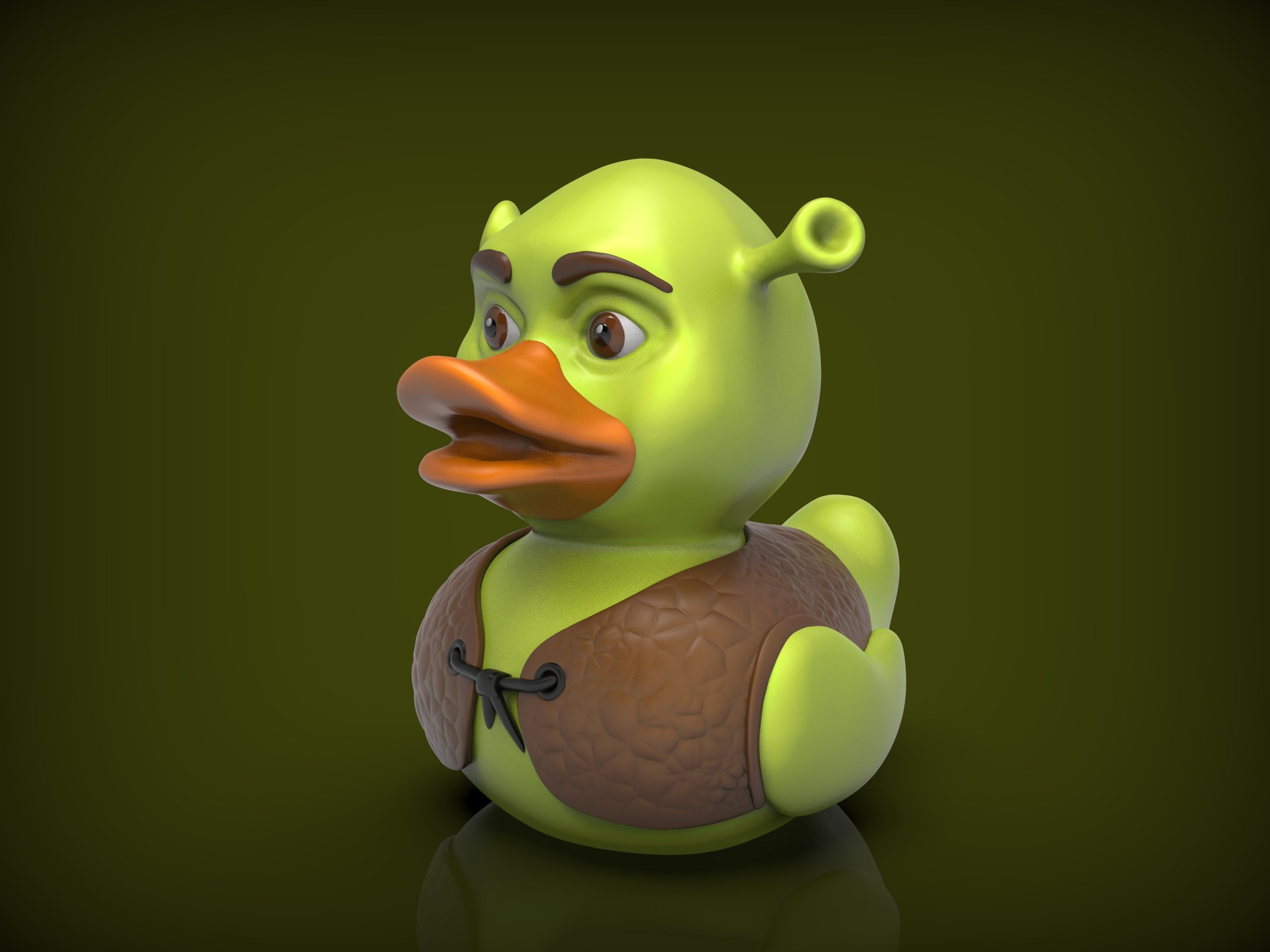 shrek duck.542.jpg