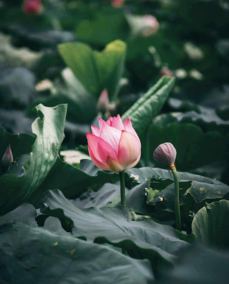 Spazio Mamma e Neonato