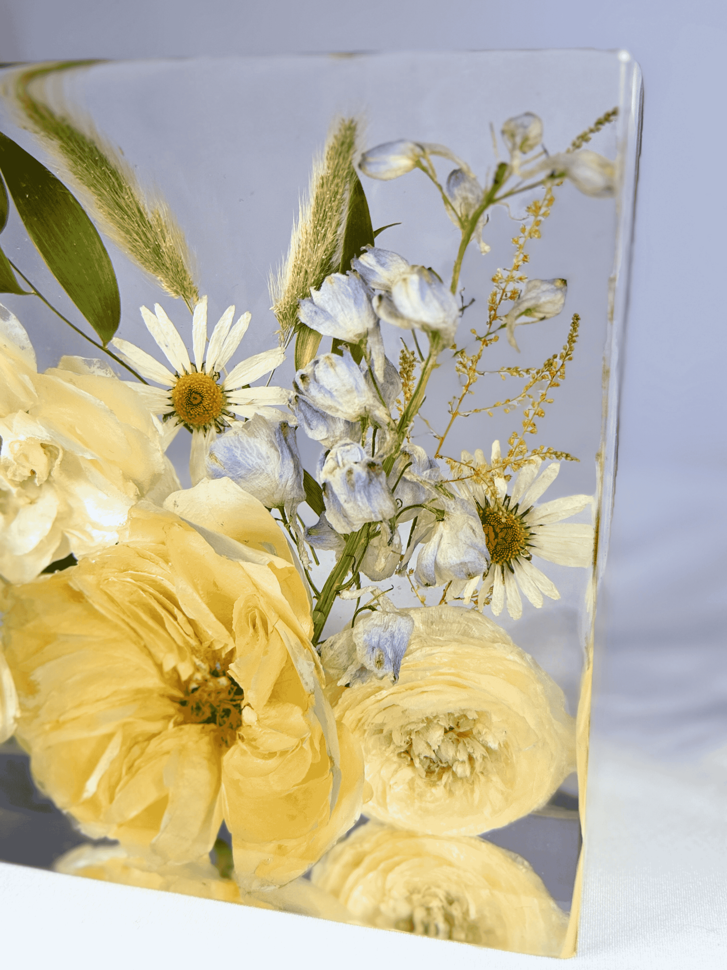 Untitled design (19).png