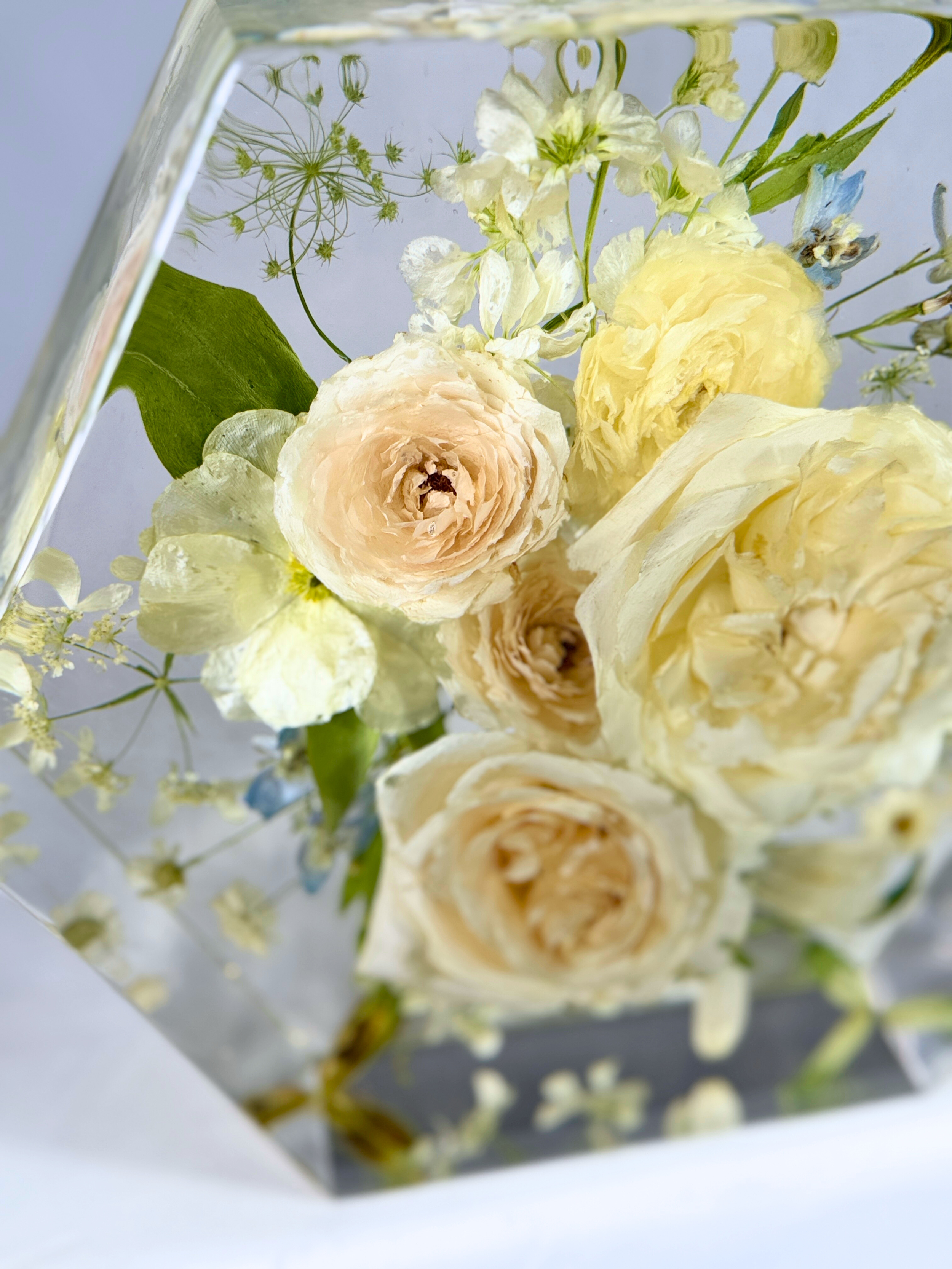 Untitled design (17).png