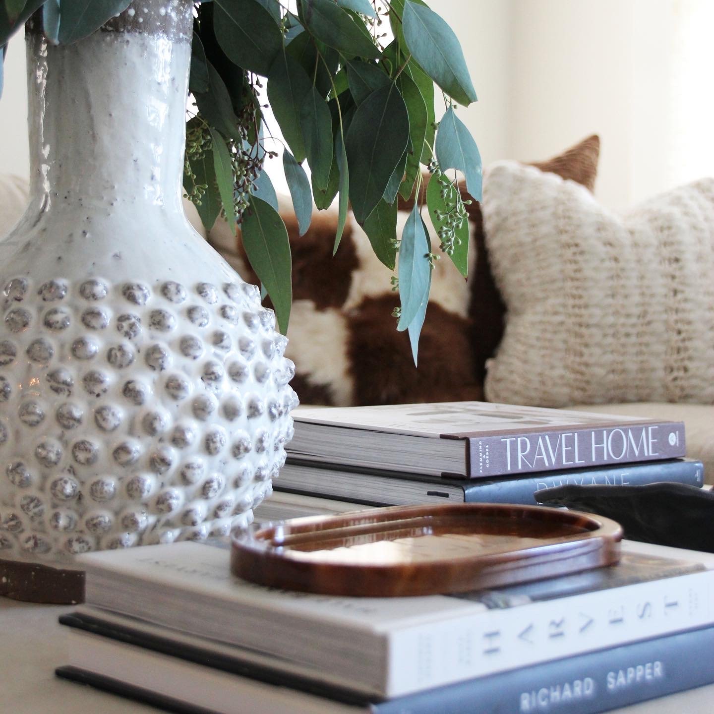 Stylish interior setting with a textured white vase, green leaves, books including 'Travel Home,' and cozy pillows.