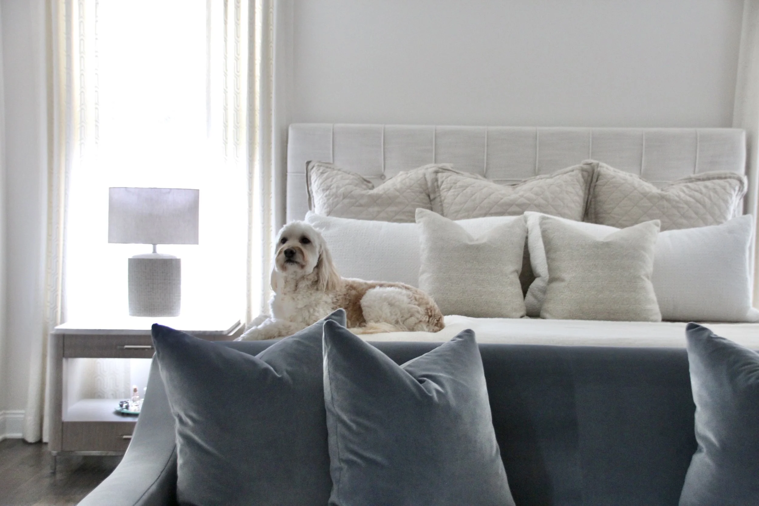 Cozy bedroom with a dog on bed, gray pillows on a bench, white and beige bedding, nightstand with lamp, and window with curtains.