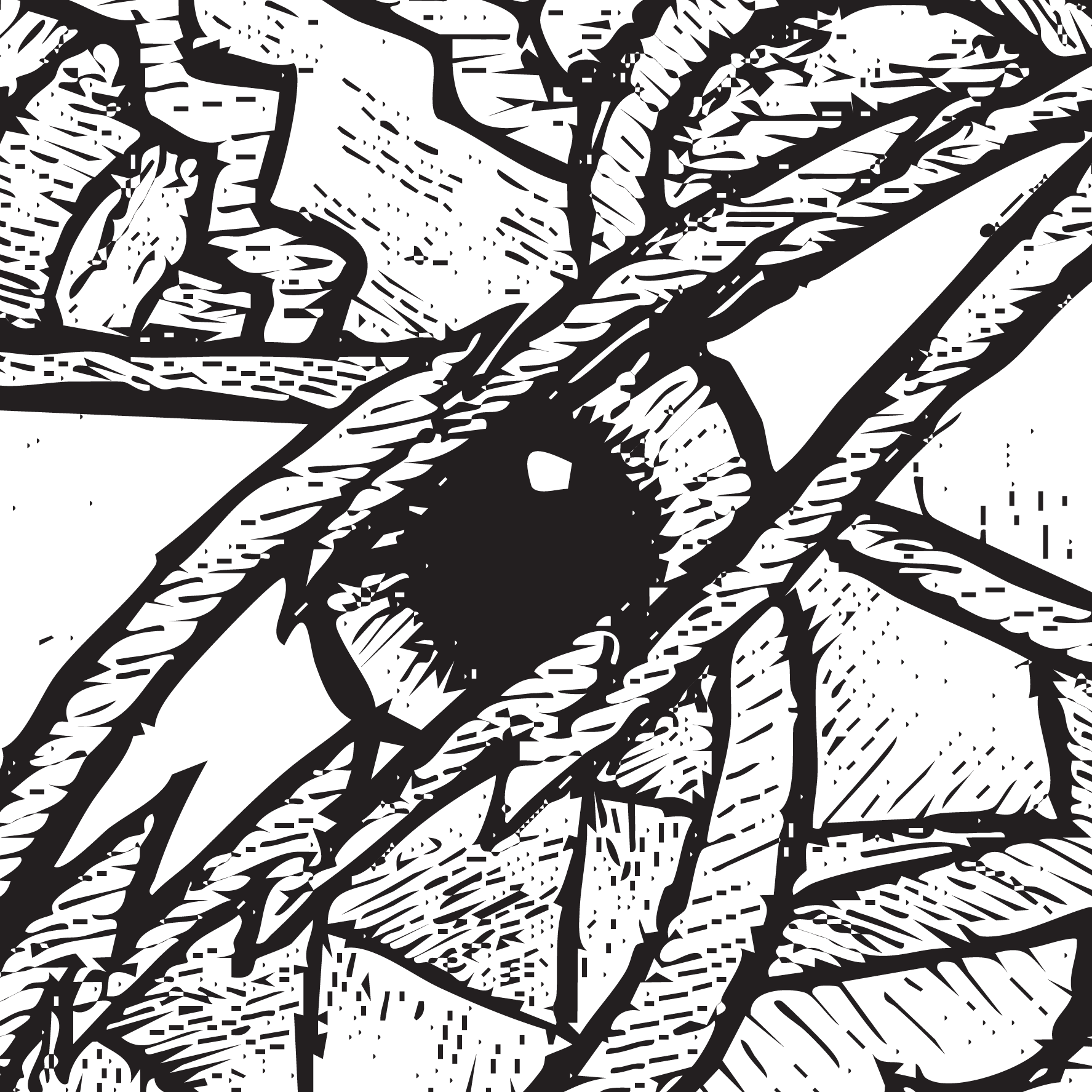 Punk Album Project