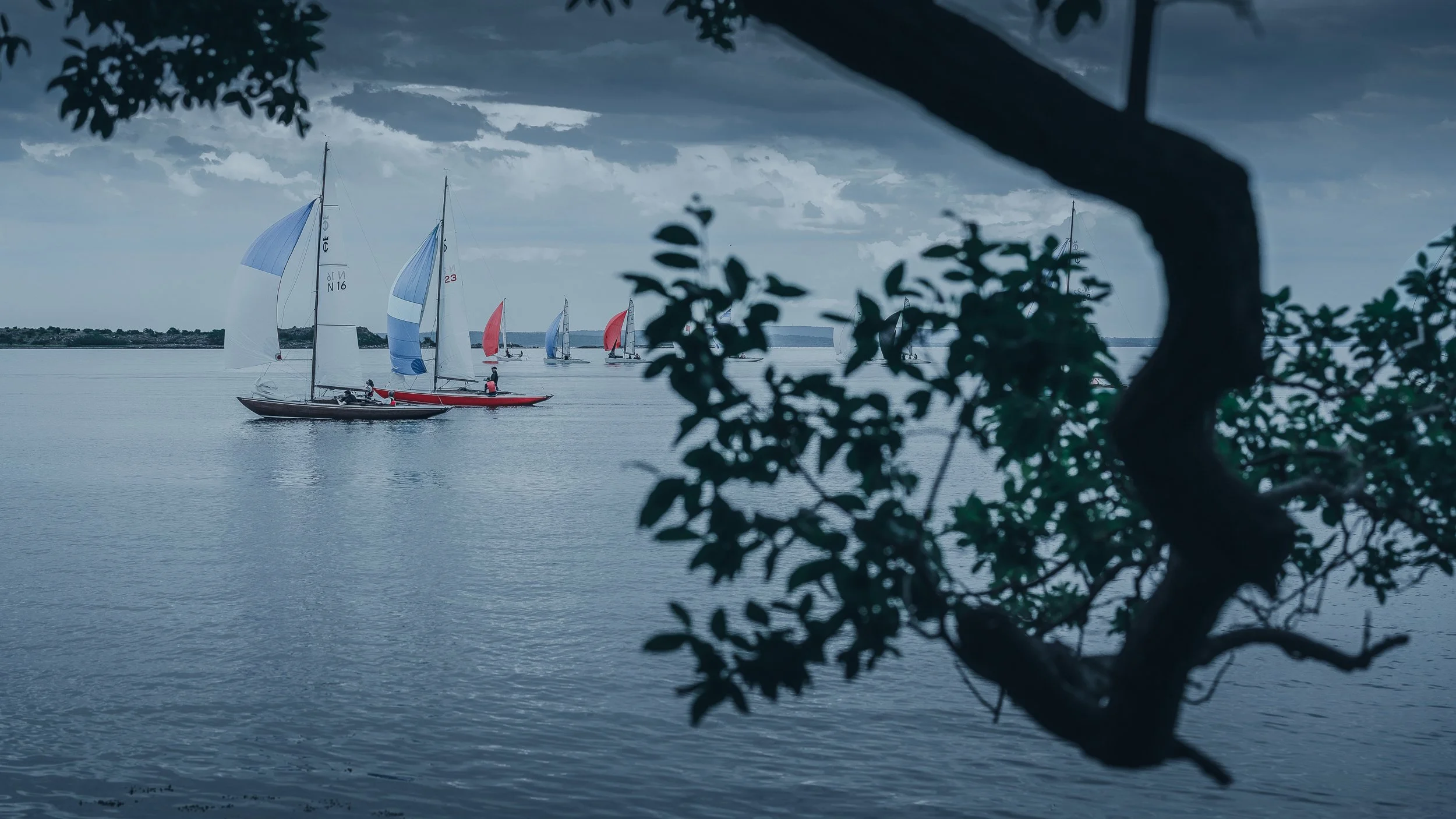BlueSailing_TirsdagsRegattaMotOrmøy_HH_okt2024-00439.jpg