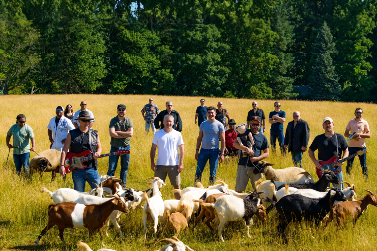 Moroccan Sheepherders