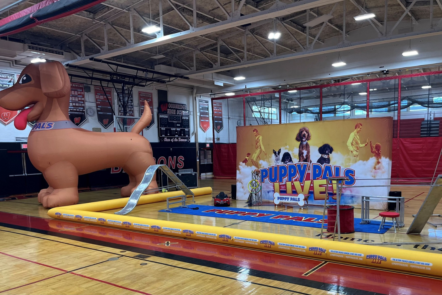 Puppy Pals Comedic Stunt Dog Show