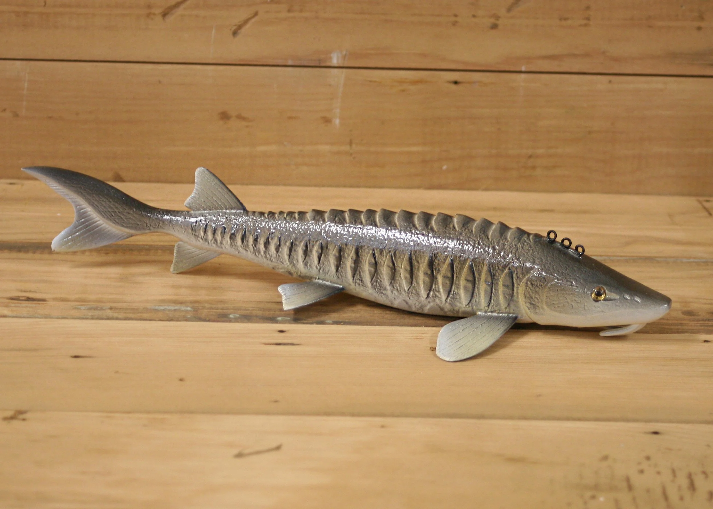 12" Sturgeon by Gary Hull