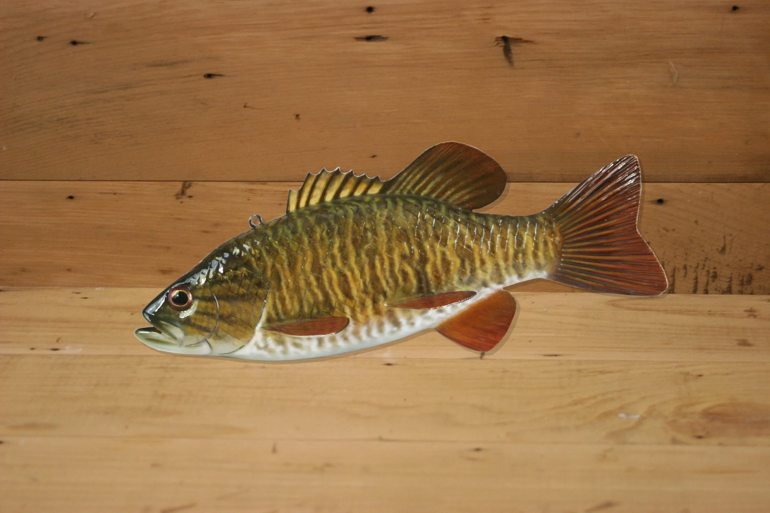 8" Smallmouth Bass by Tony Sazama