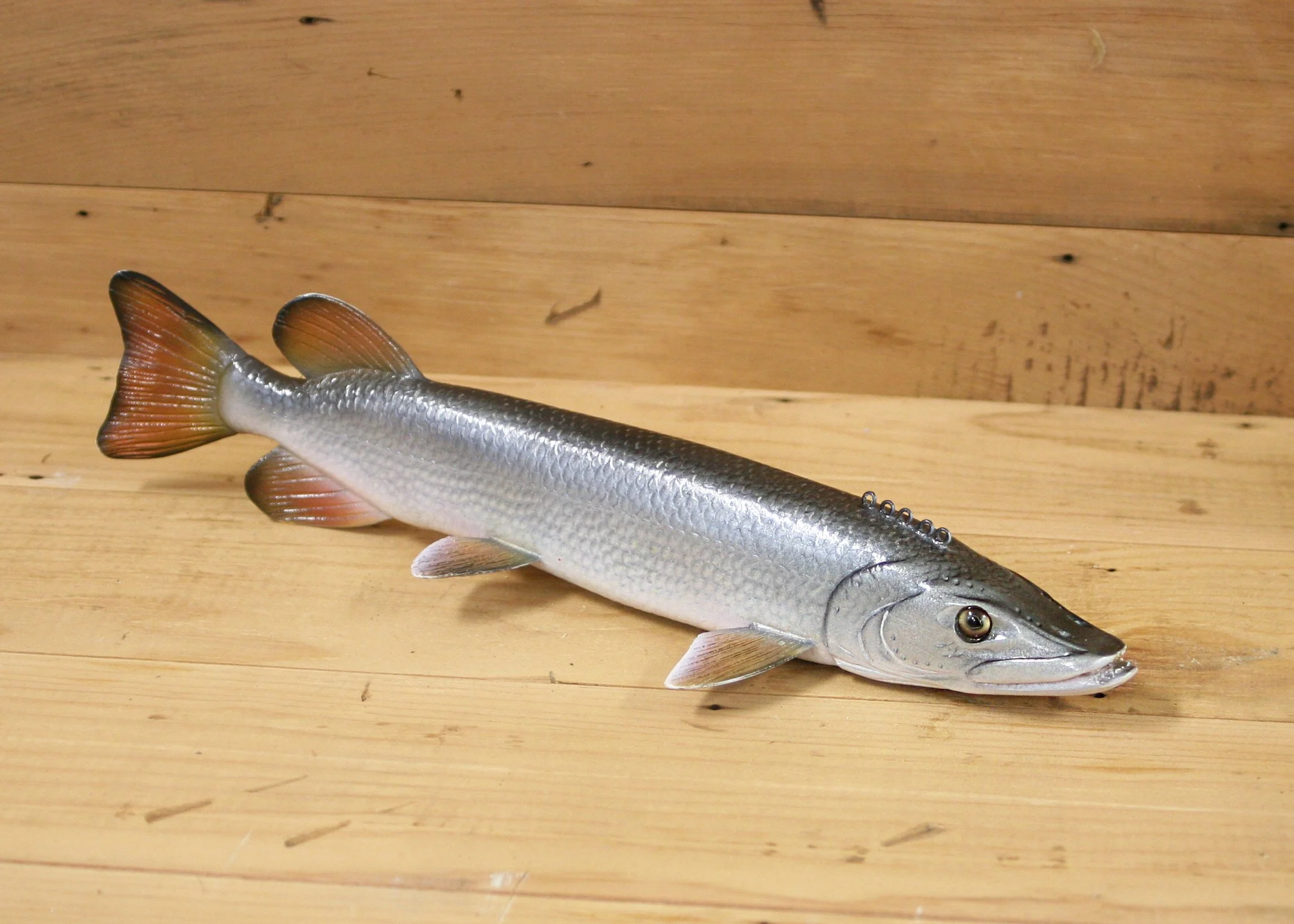 12" Silver Pike by Gary Hull