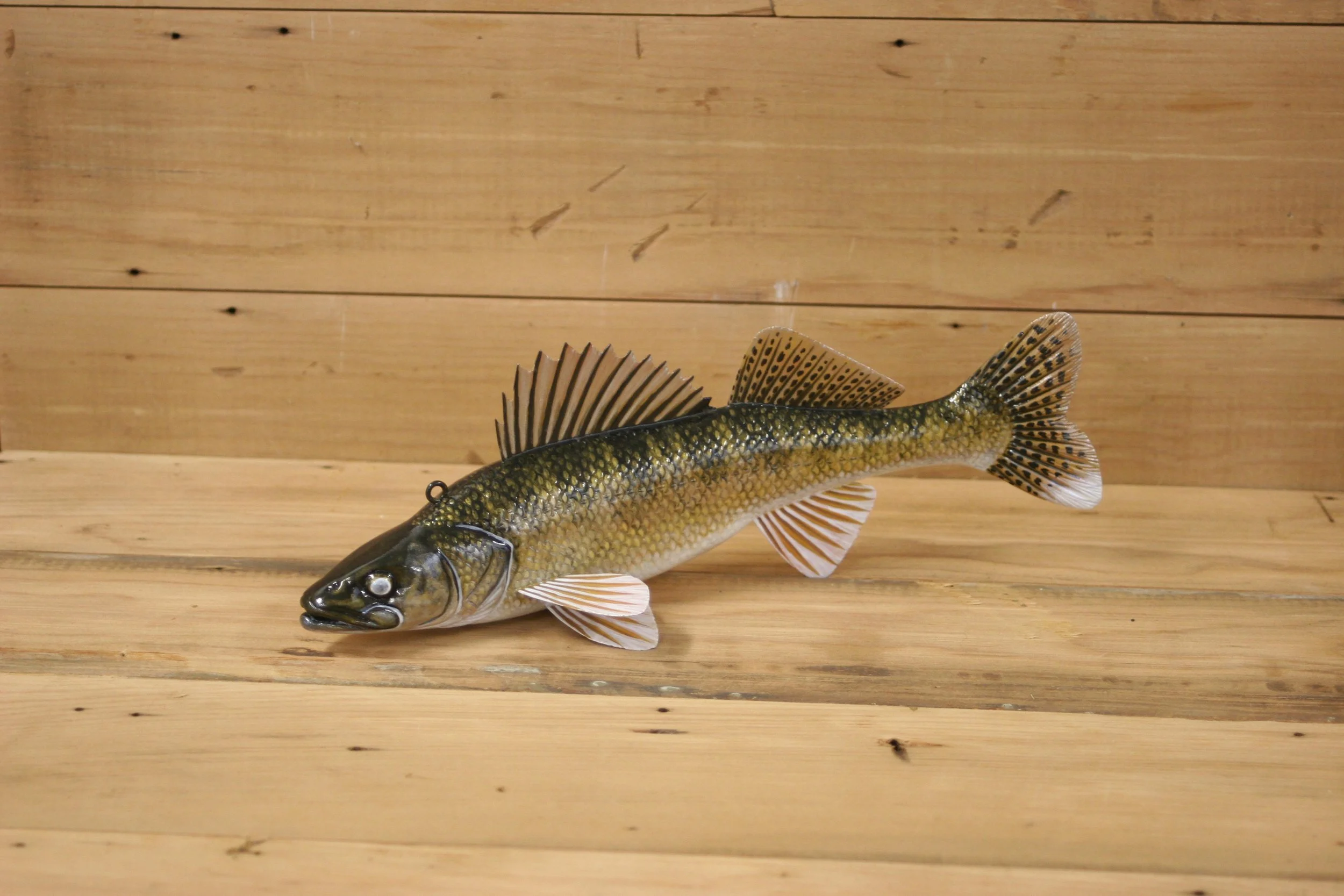 10" Hand Painted Walleye by Jacob Sazama