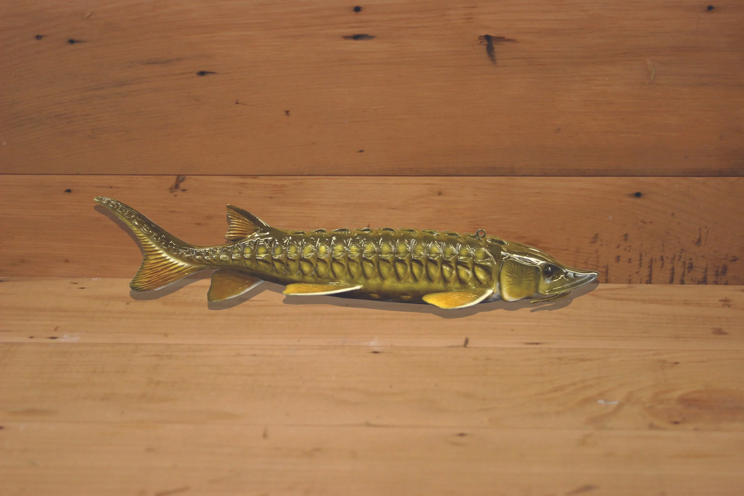 10" Sturgeon by Harley Ragan