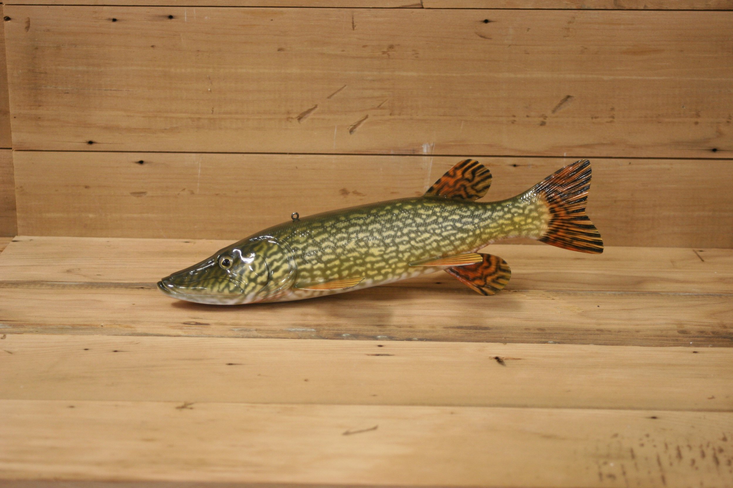 11" Airbrush Northern Pike by Harley Ragan