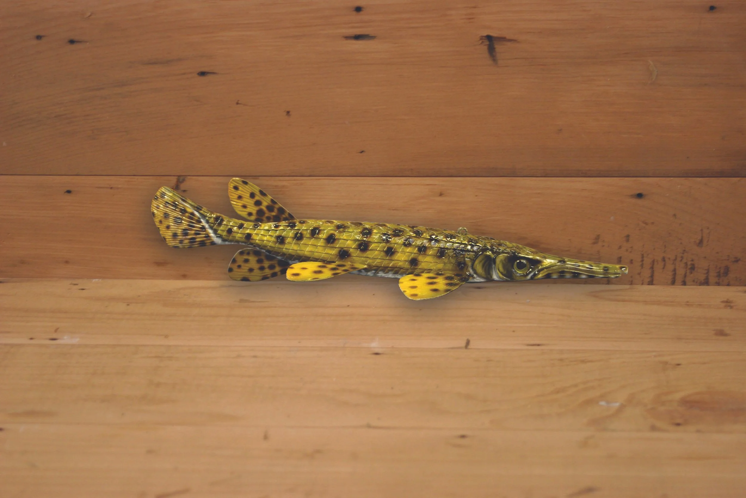 10" Gar by Harley Ragan