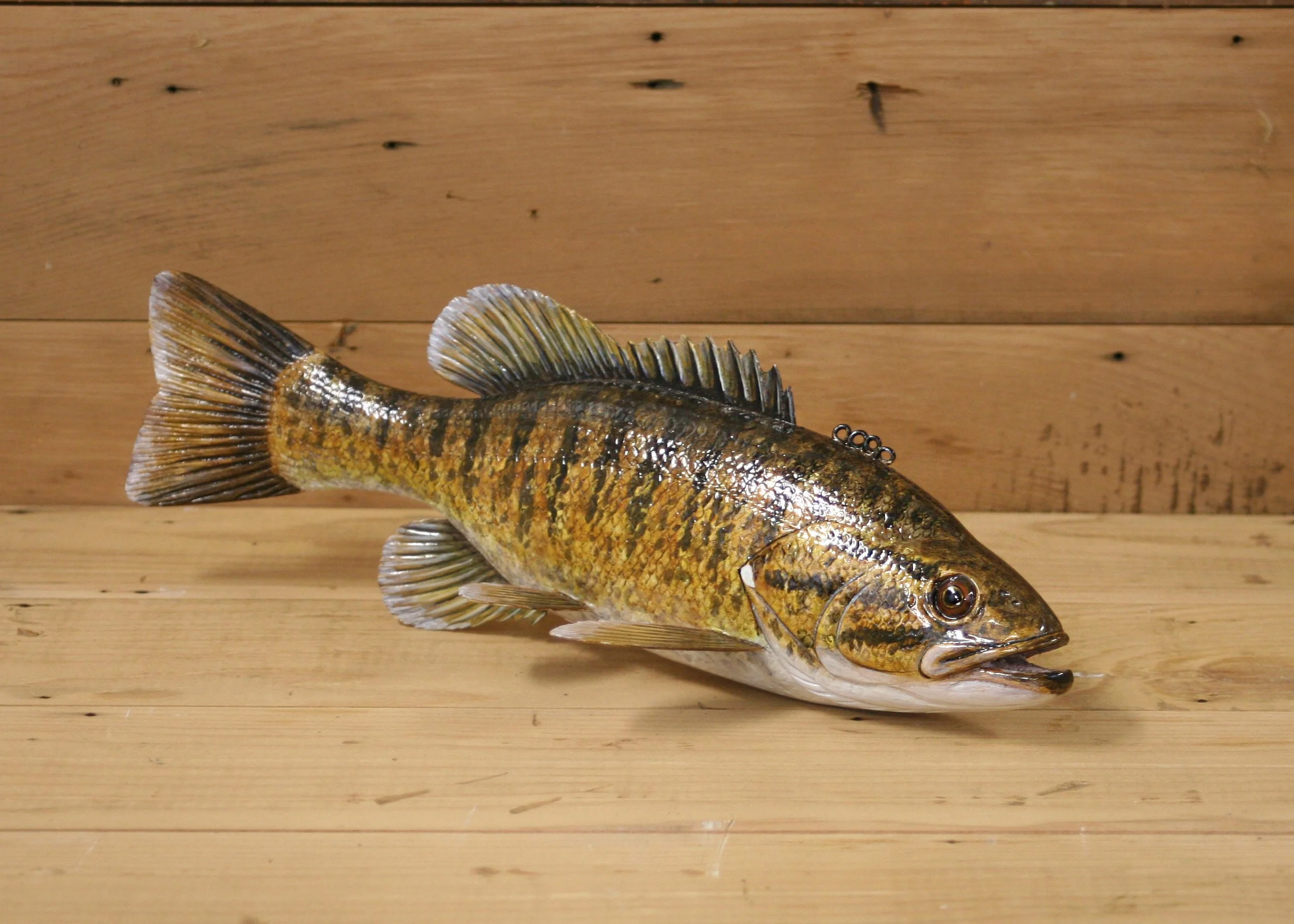 12" Hand Painted Smallmouth Bass by Bob Johnson