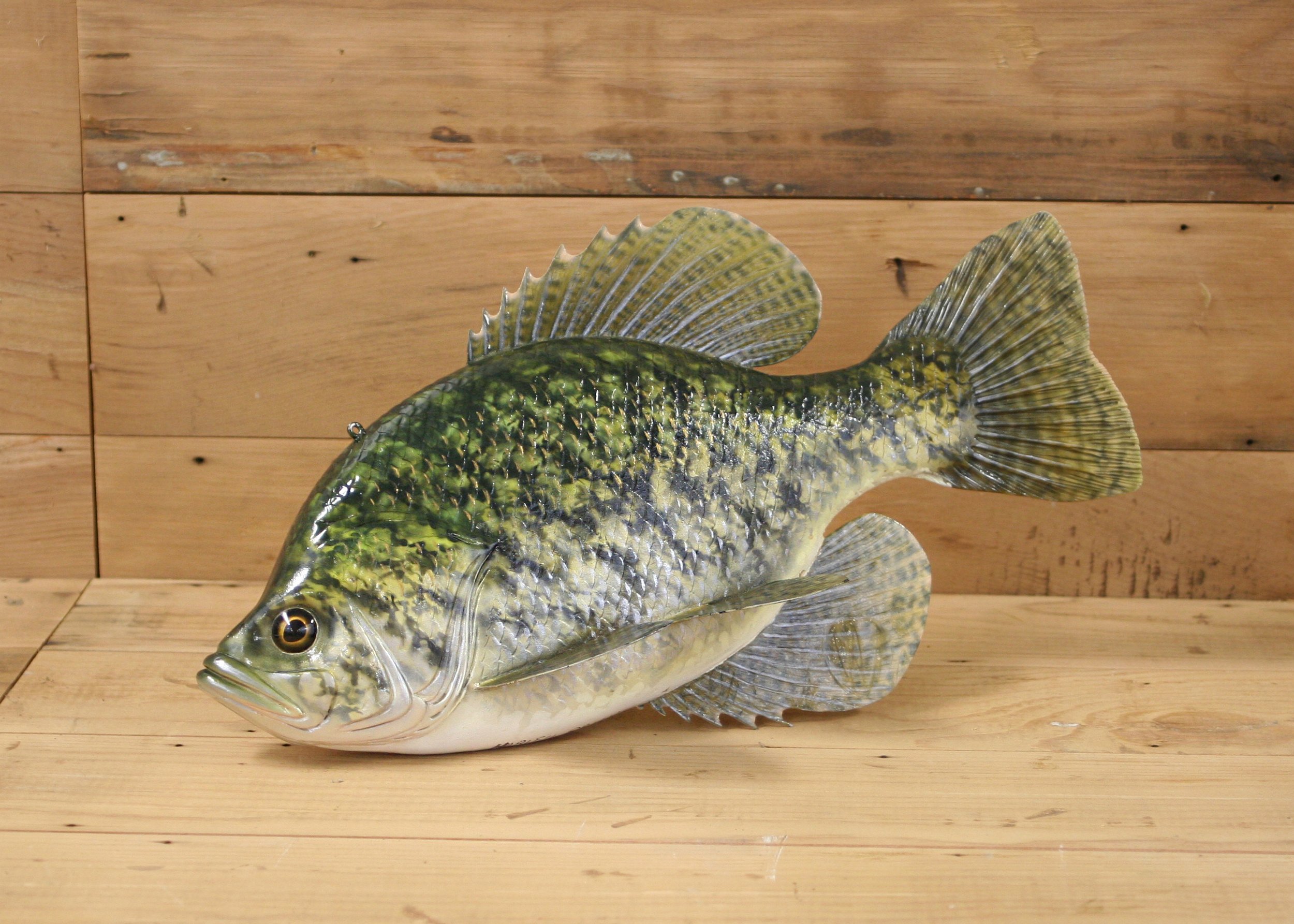 14" Airbrush Black Crappie by Harley Ragan