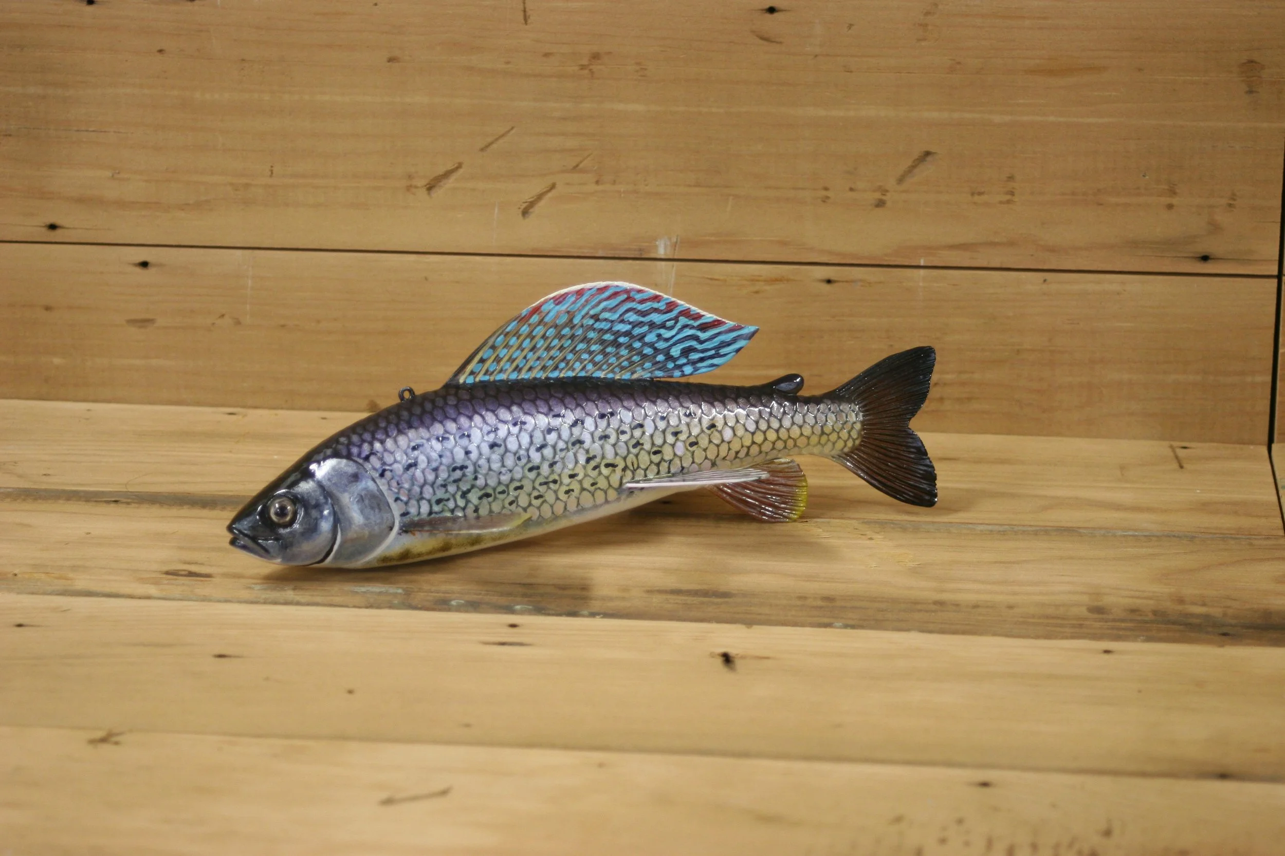 4th place: 10" Grayling by Harley Ragan