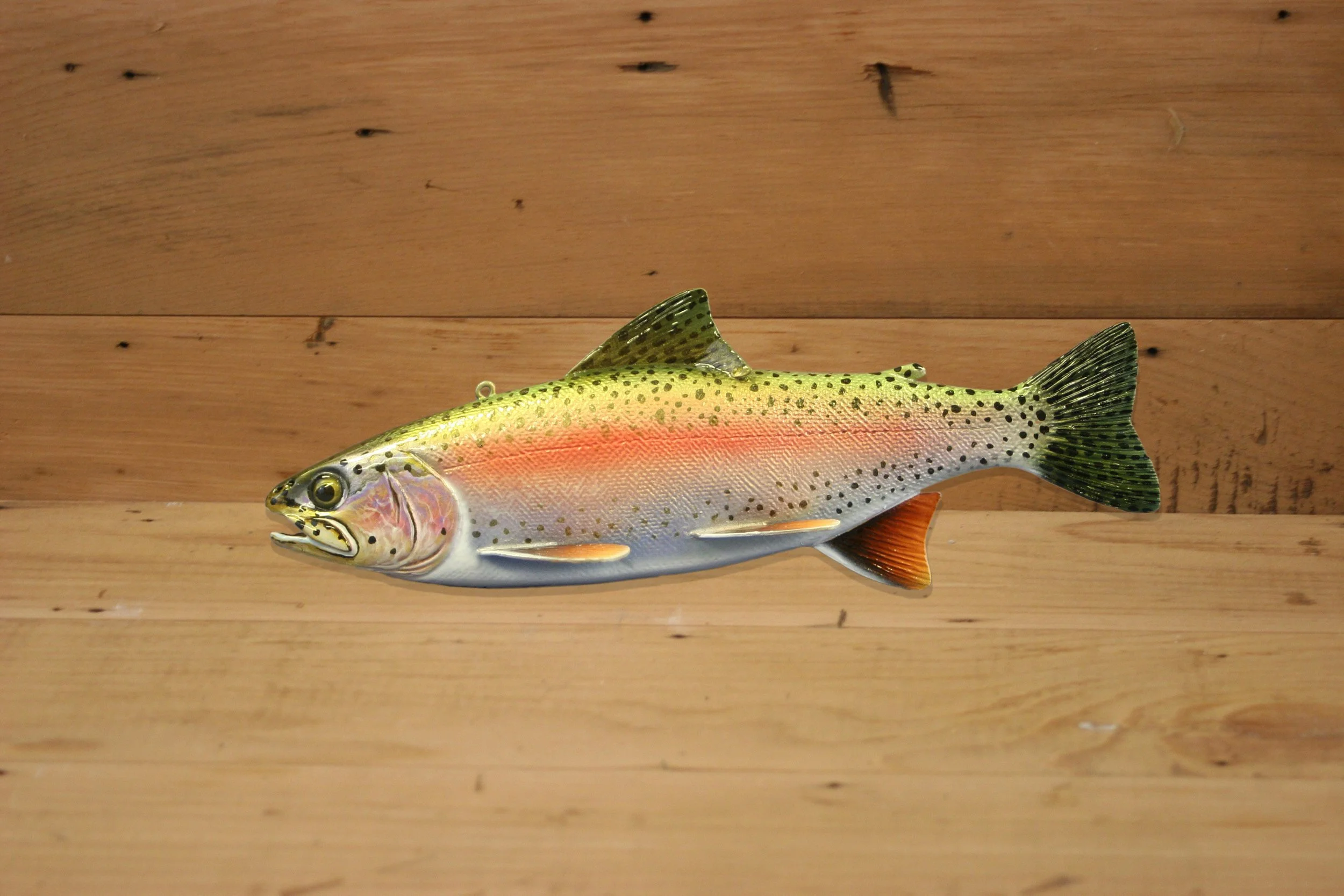 9" Rainbow Trout by Harley Ragan