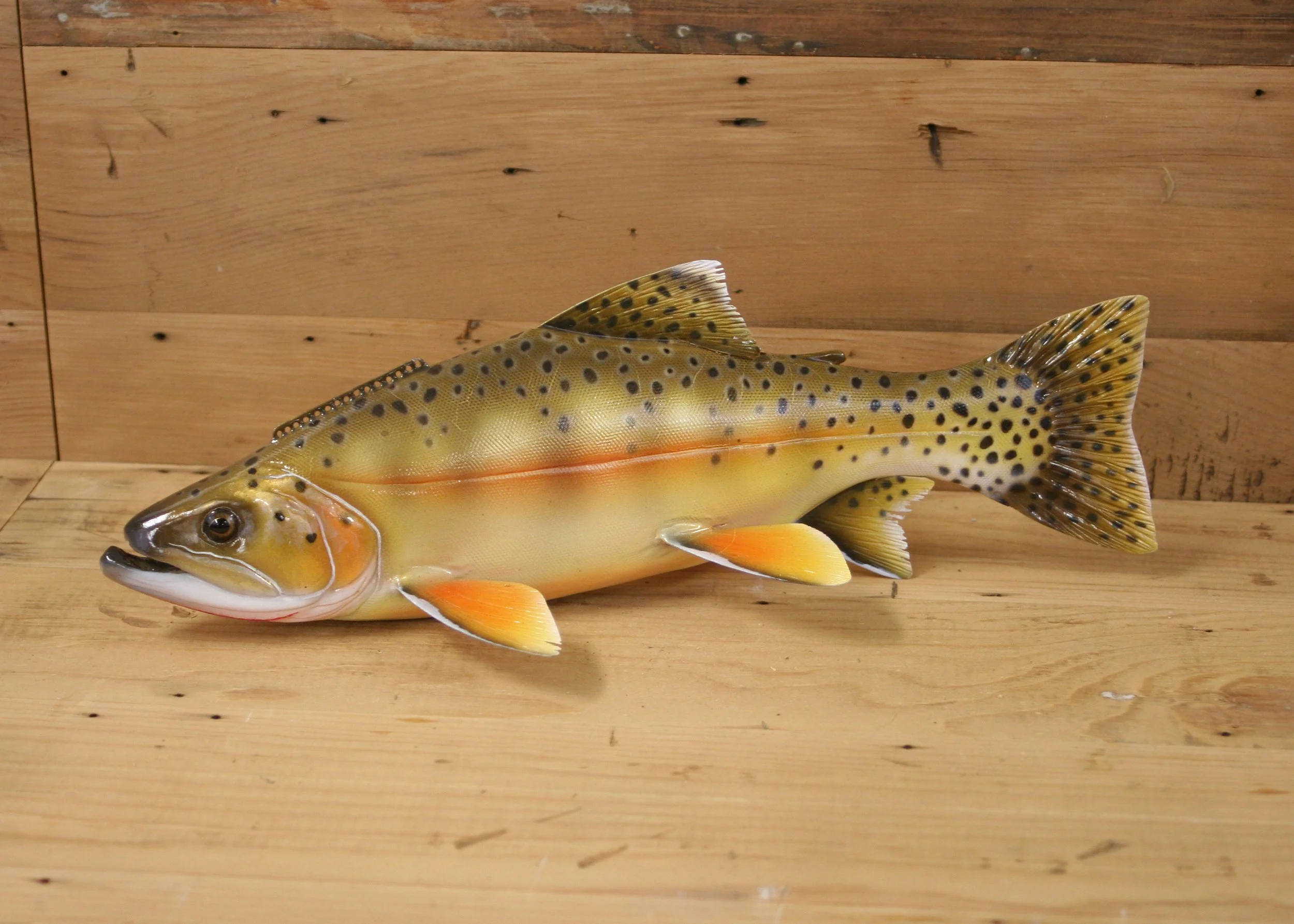 14" Airbrush Cutthroat Trout by Harley Ragan