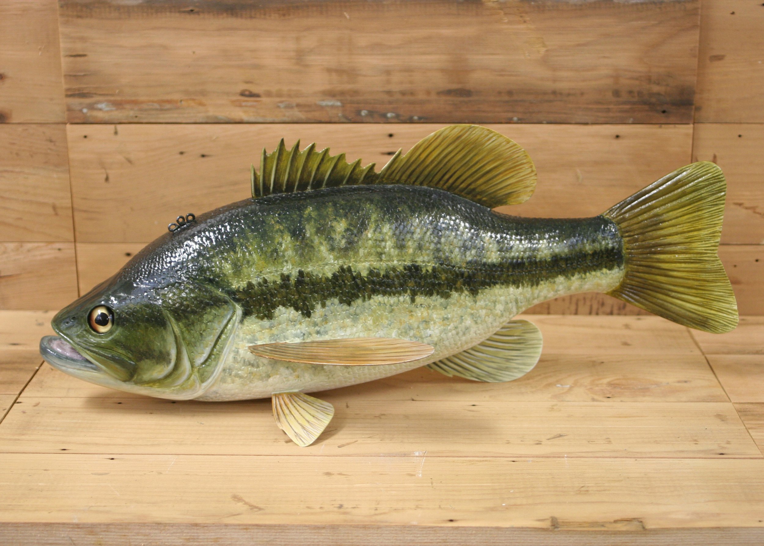 20" Hand Painted Large Mouth Bass by Bob Johnson