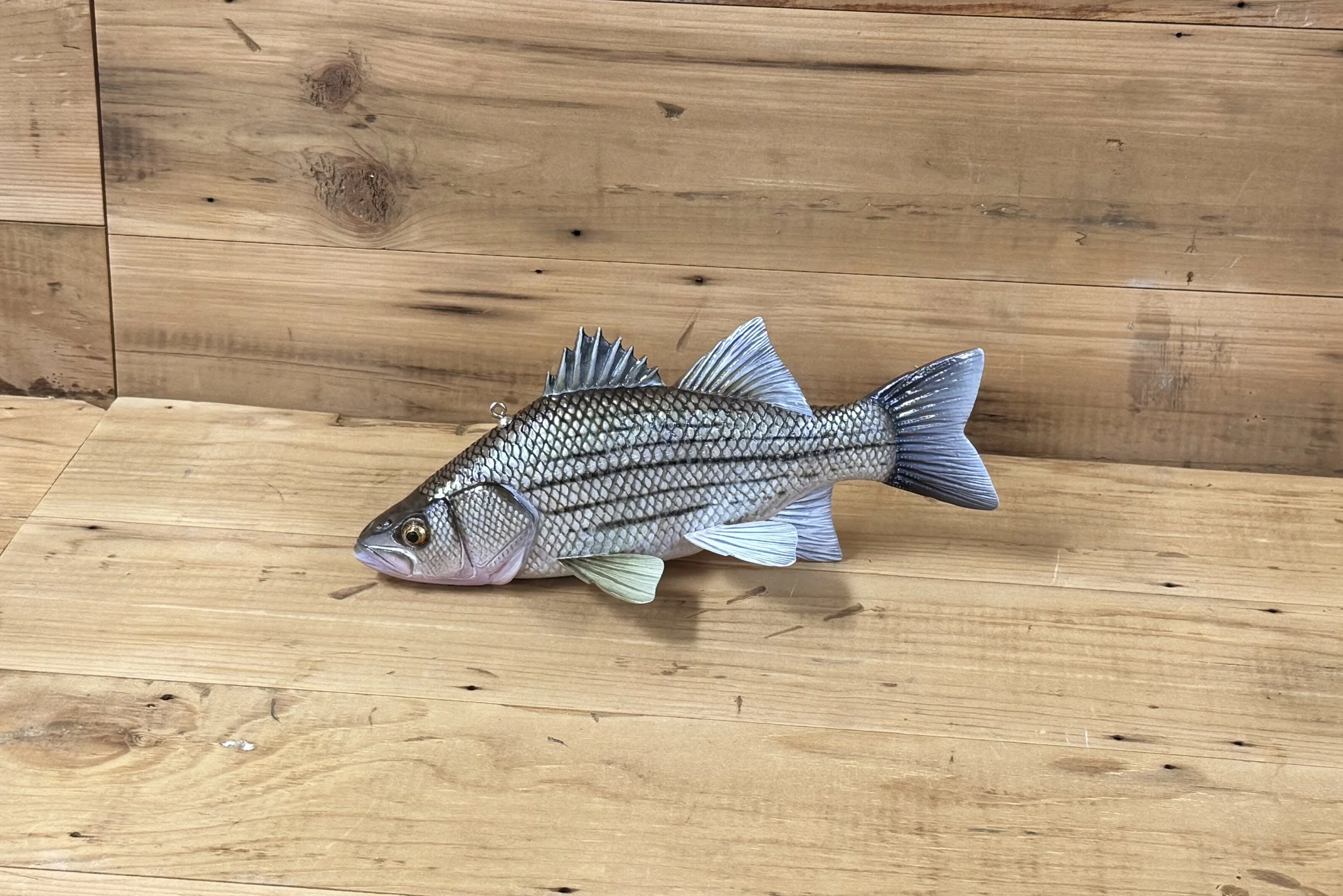 10" White Bass by Eric Wallace