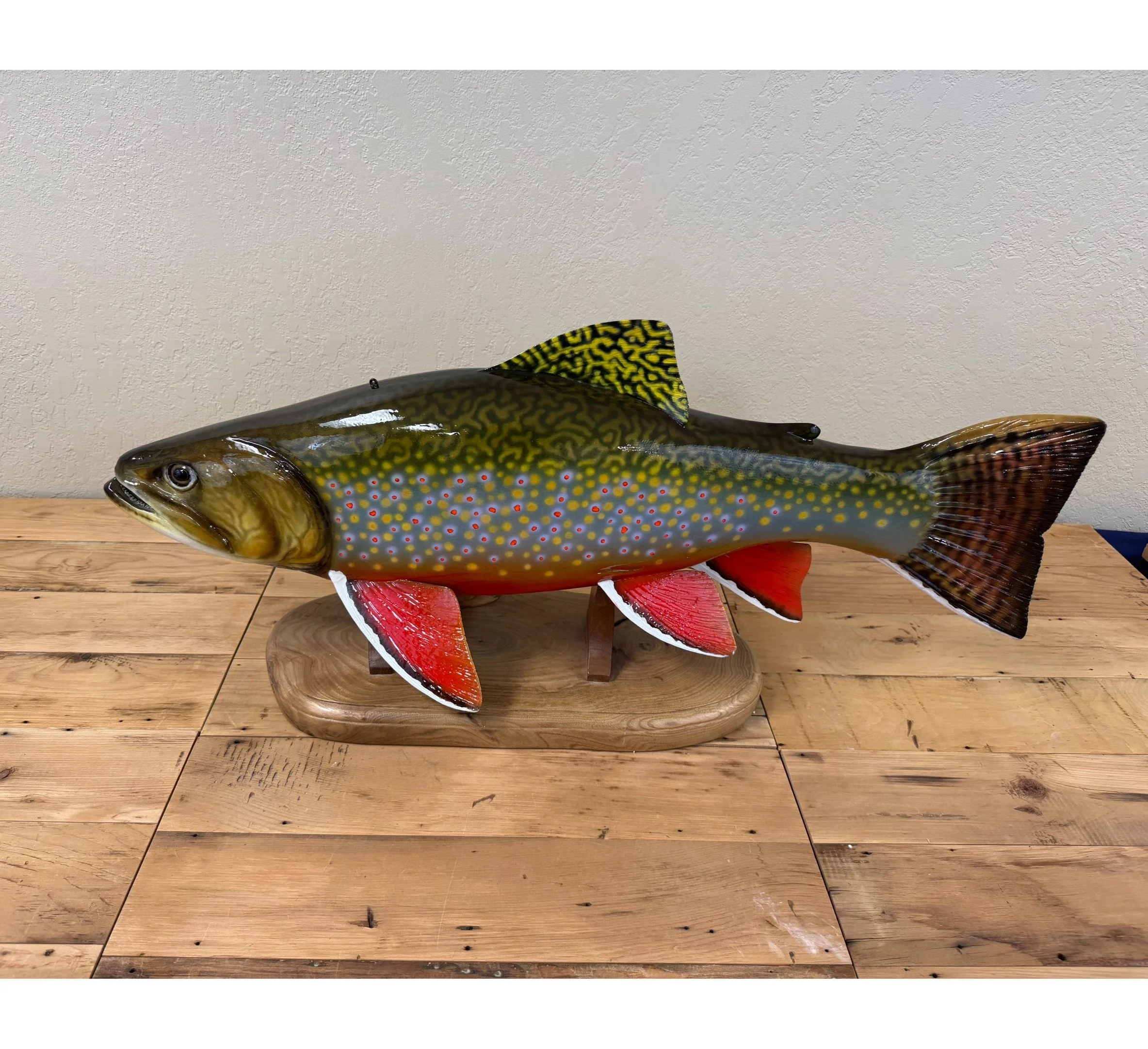 31" "Showdown" Spawning Male Brook Trout by Harley Ragan