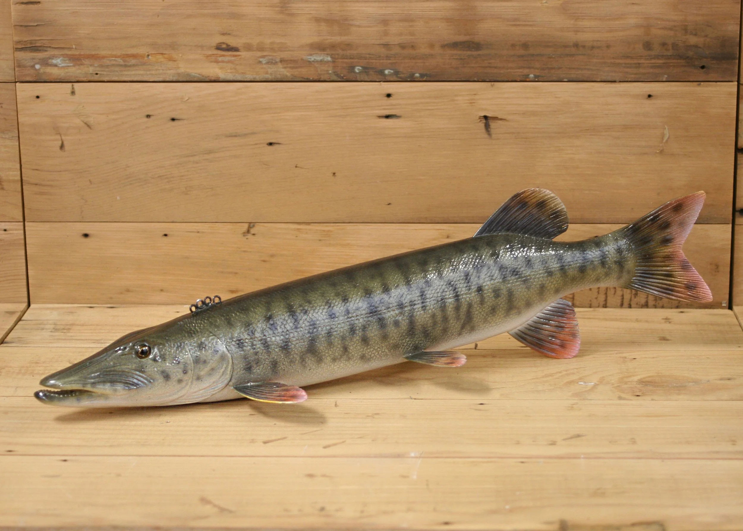 18" Airbrush Muskie by Bob Johnson
