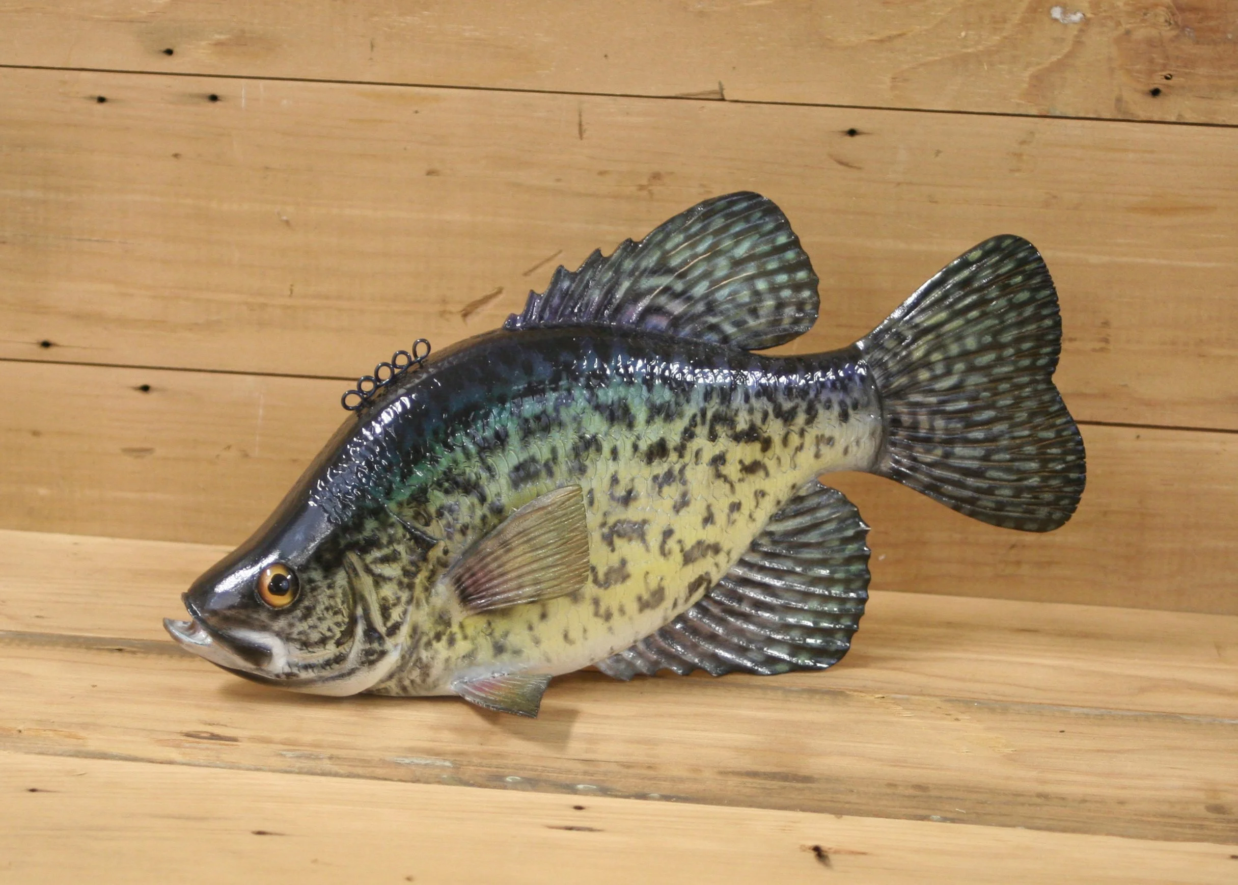 12" Airbrush Crappie by Roger Goeshel