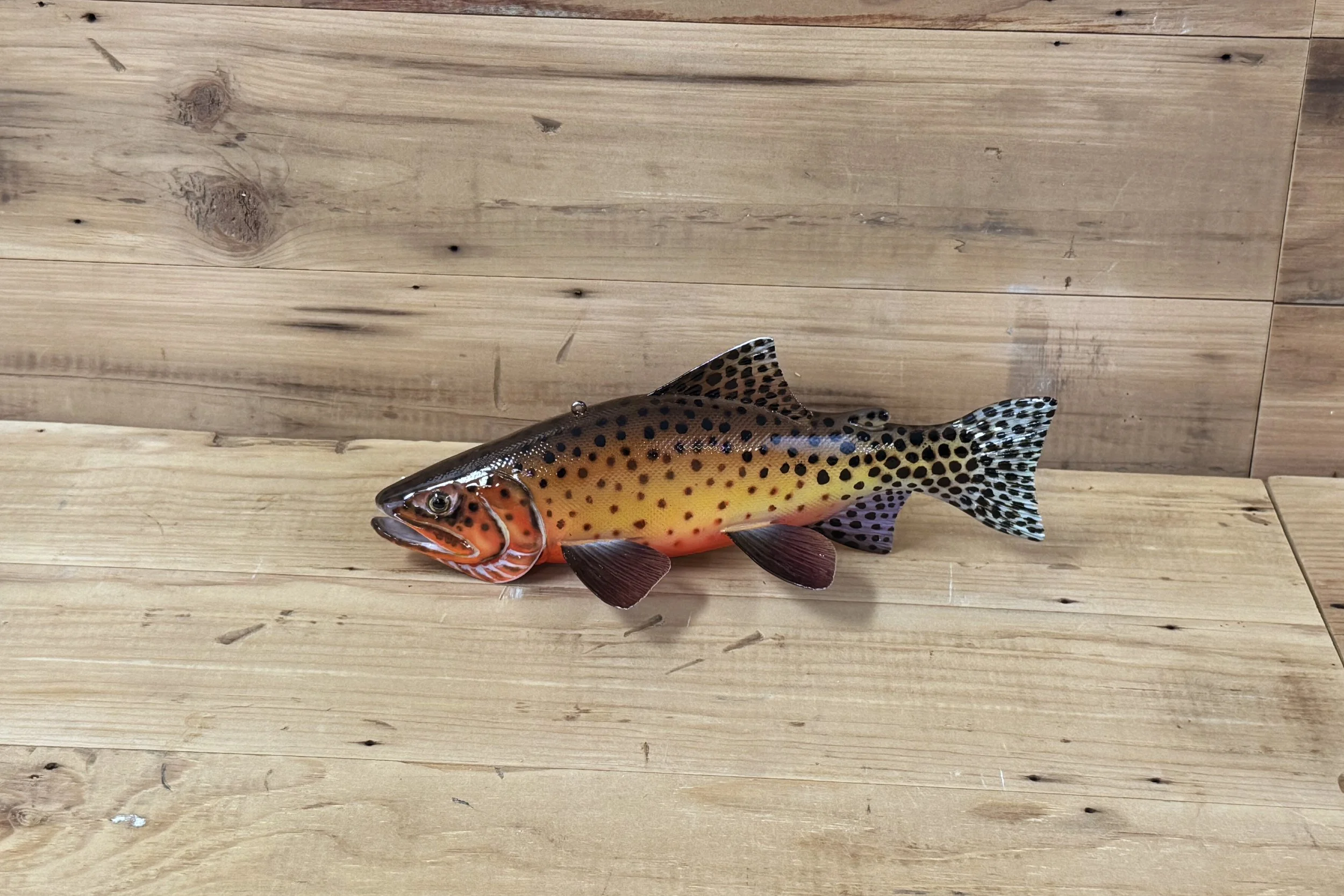10" Cutthroat Trout by Harley Ragan