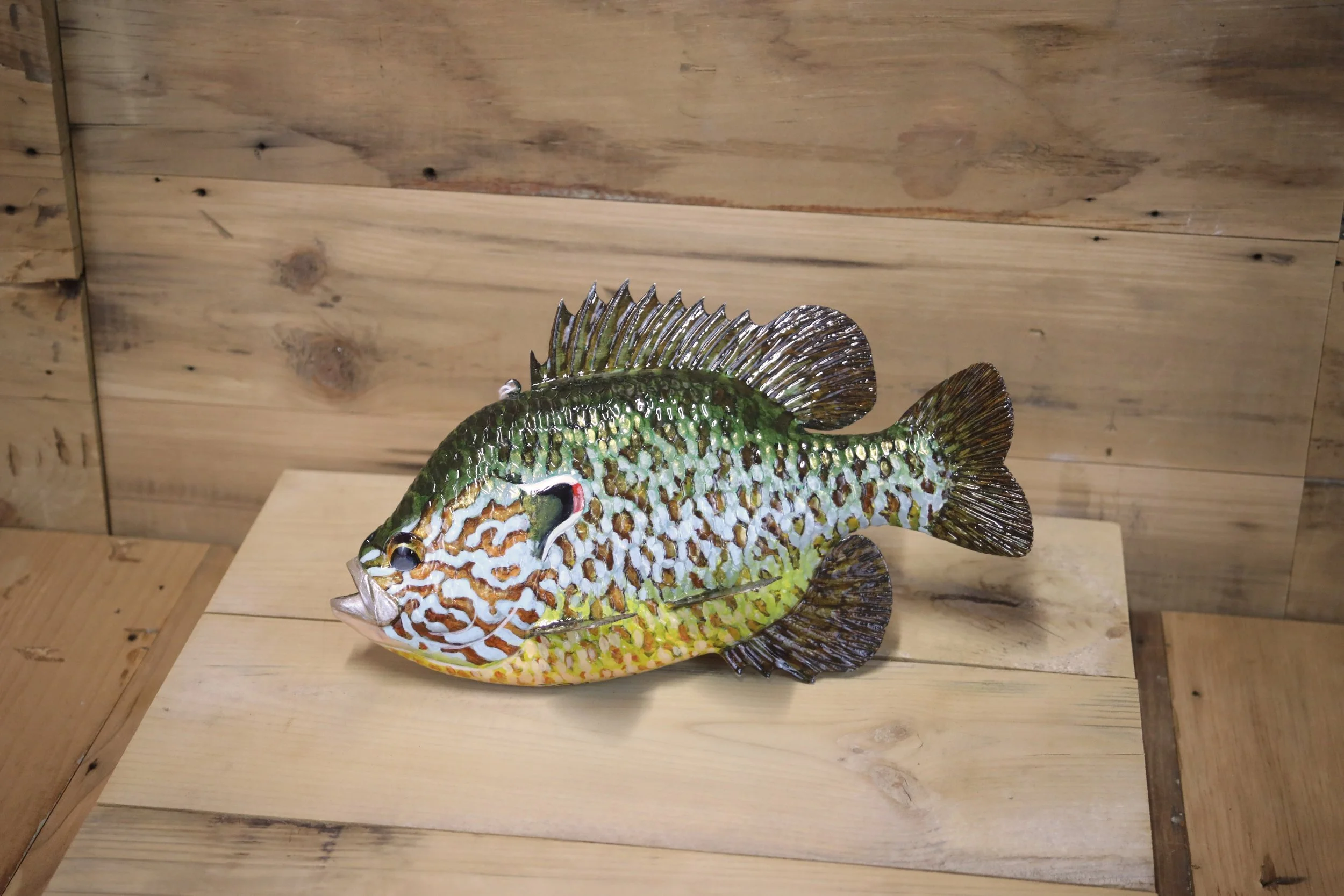 10" Pumpkinseed Sunfish by Harley Ragan