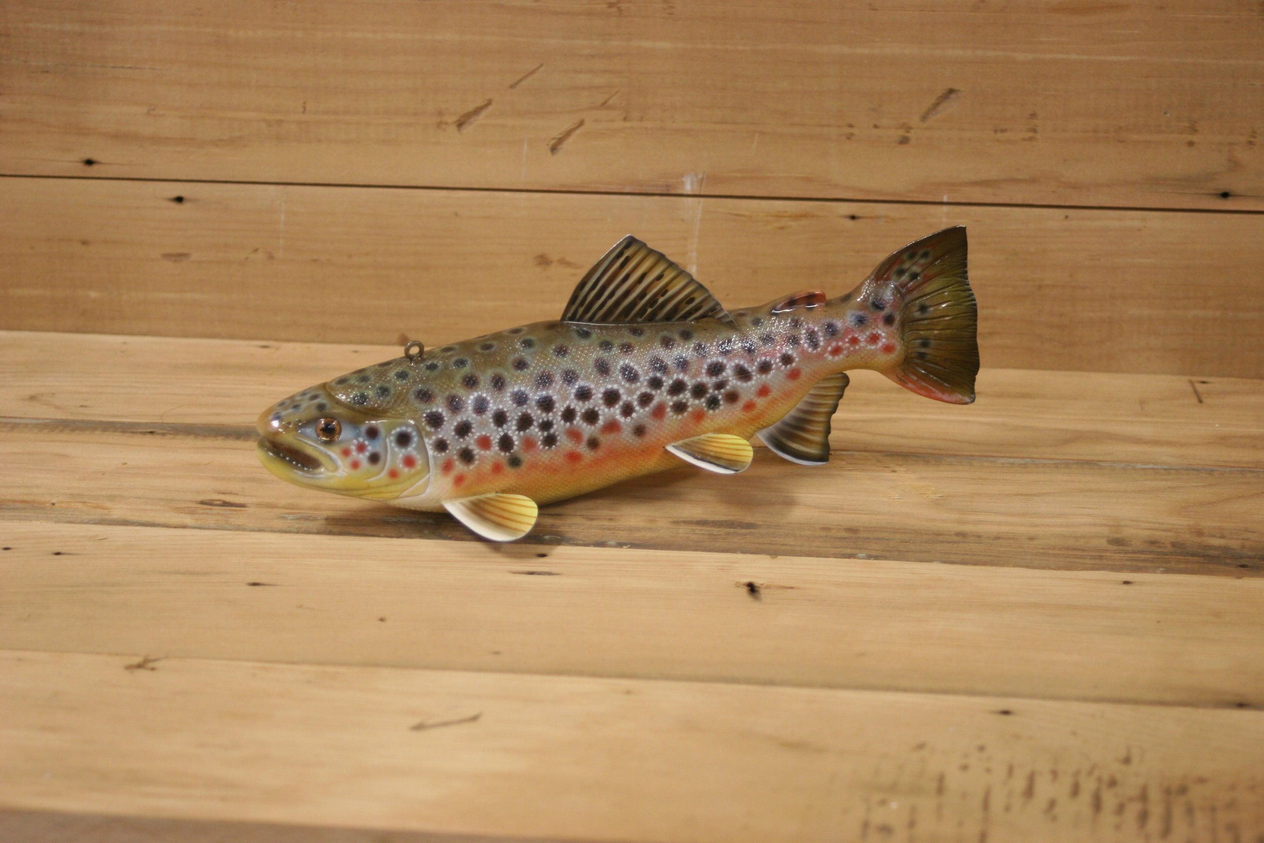 5th place: 10" Brown Trout by Todd Schulze