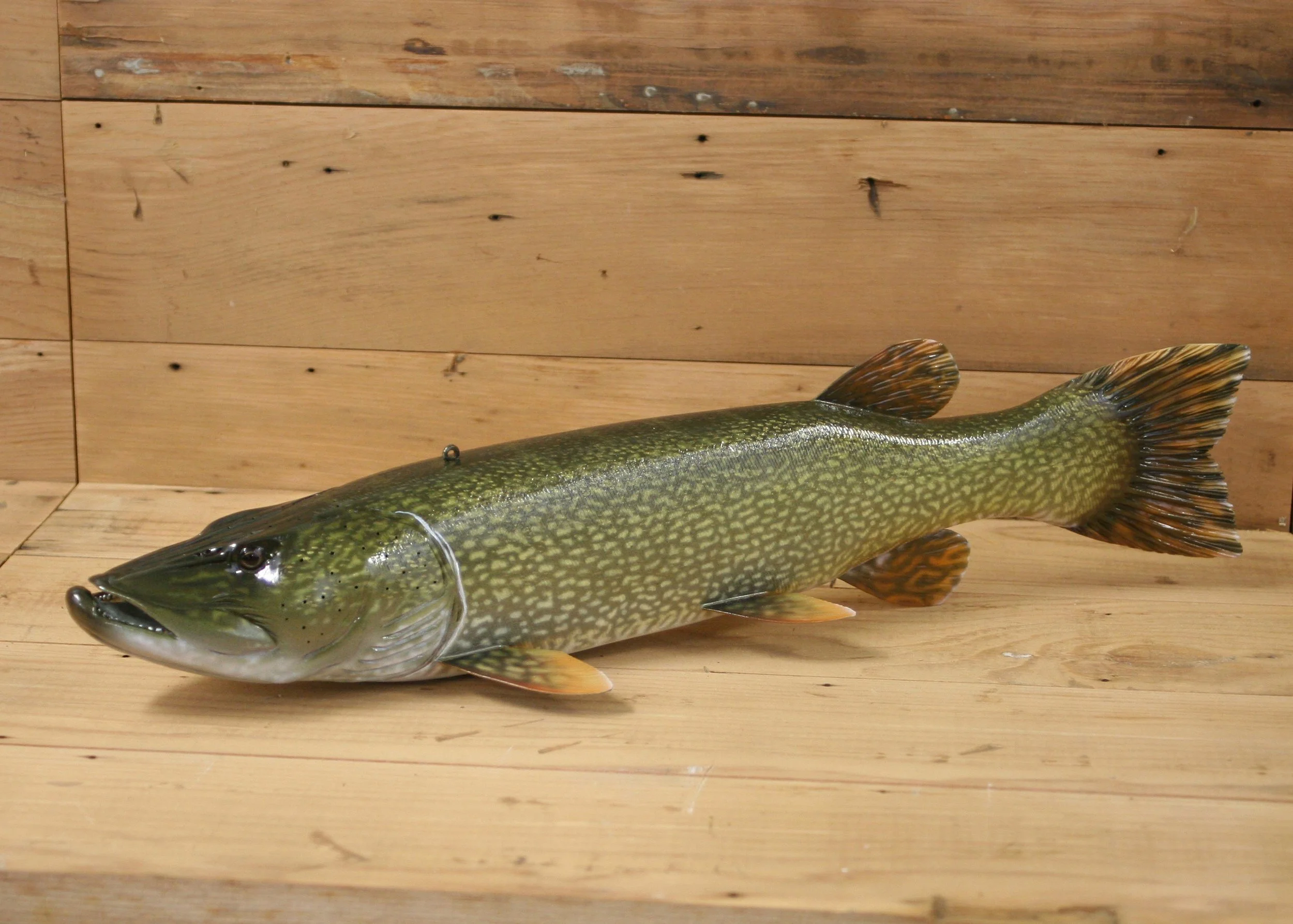 18" Airbrush Northern Pike by Harley Ragan
